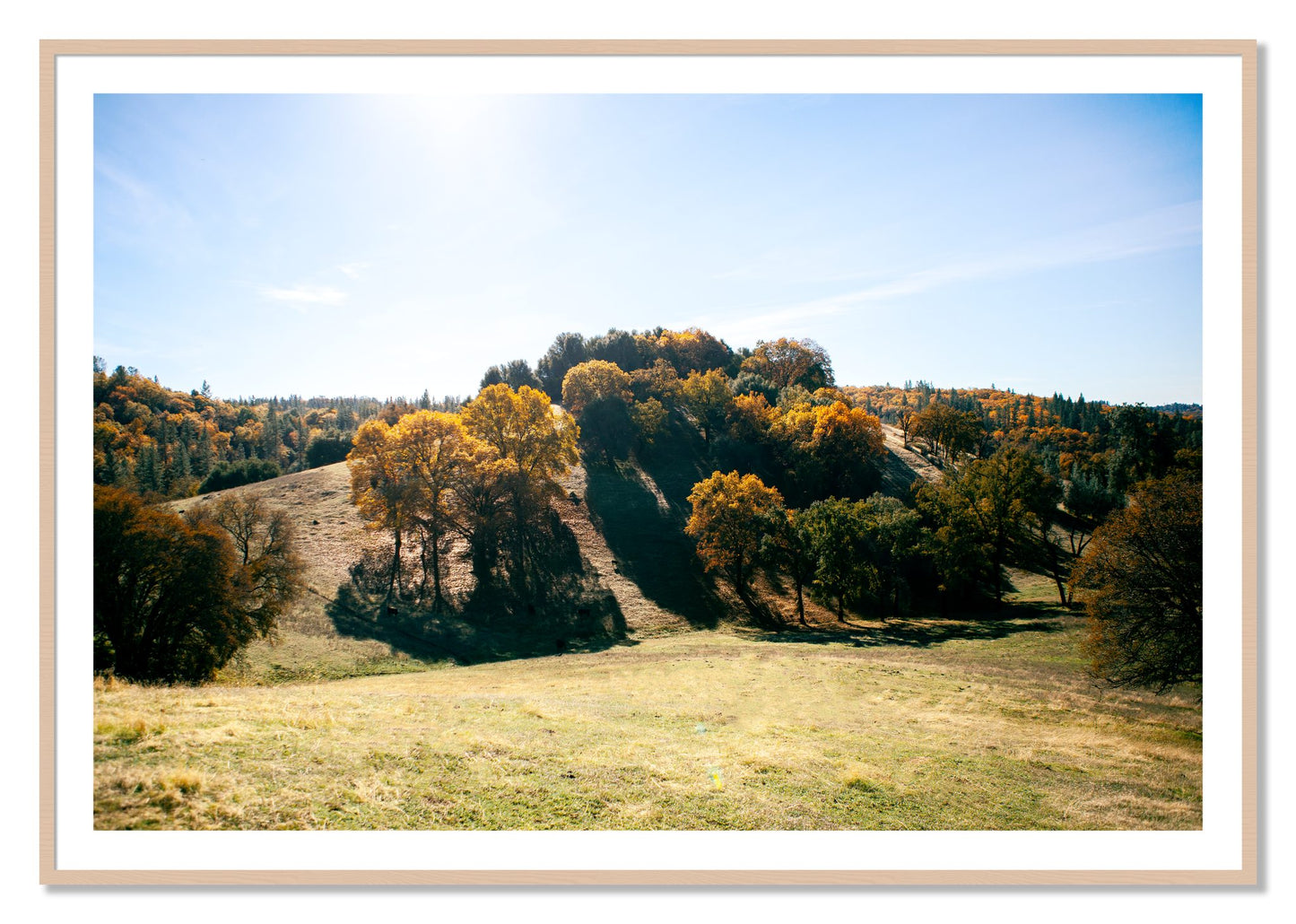 Framed photograph of Where IGrew Up by Dylan Ozanich, Maple frame, Borders