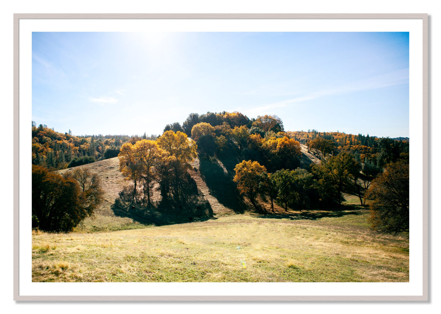 Framed photograph of Where IGrew Up by Dylan Ozanich, White Maple frame, Borders
