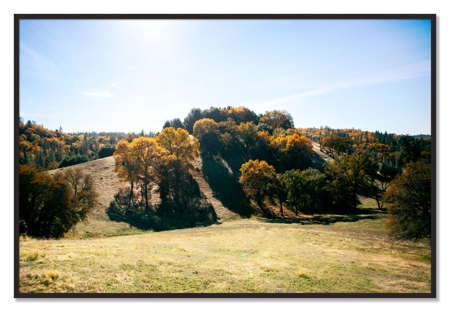 Framed photograph of Where IGrew Up by Dylan Ozanich, Black Walnut frame, Full Bleed