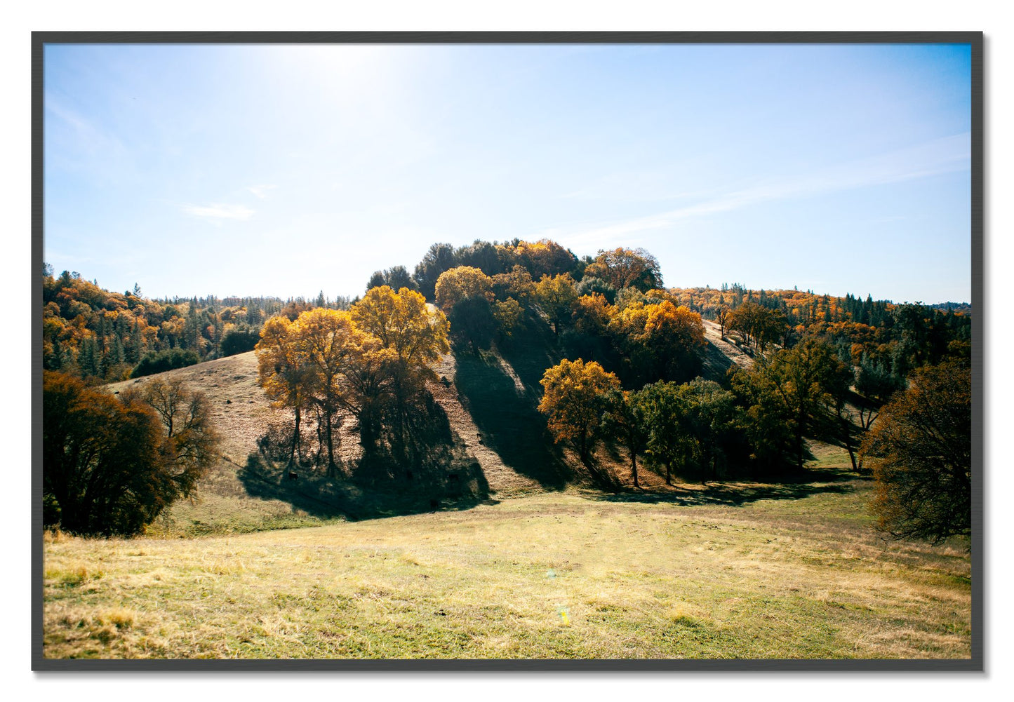 Framed photograph of Where IGrew Up by Dylan Ozanich, Grey frame, Full Bleed