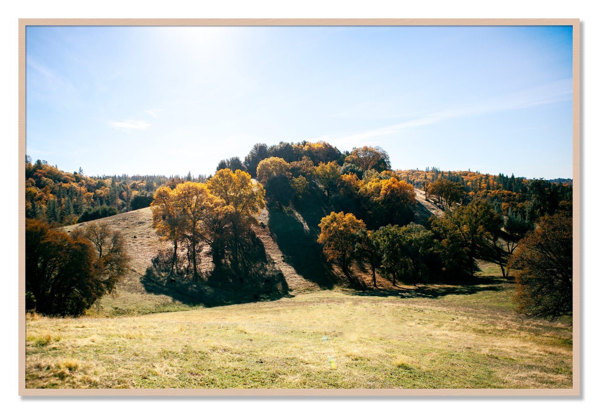 Framed photograph of Where IGrew Up by Dylan Ozanich, Maple frame, Full Bleed
