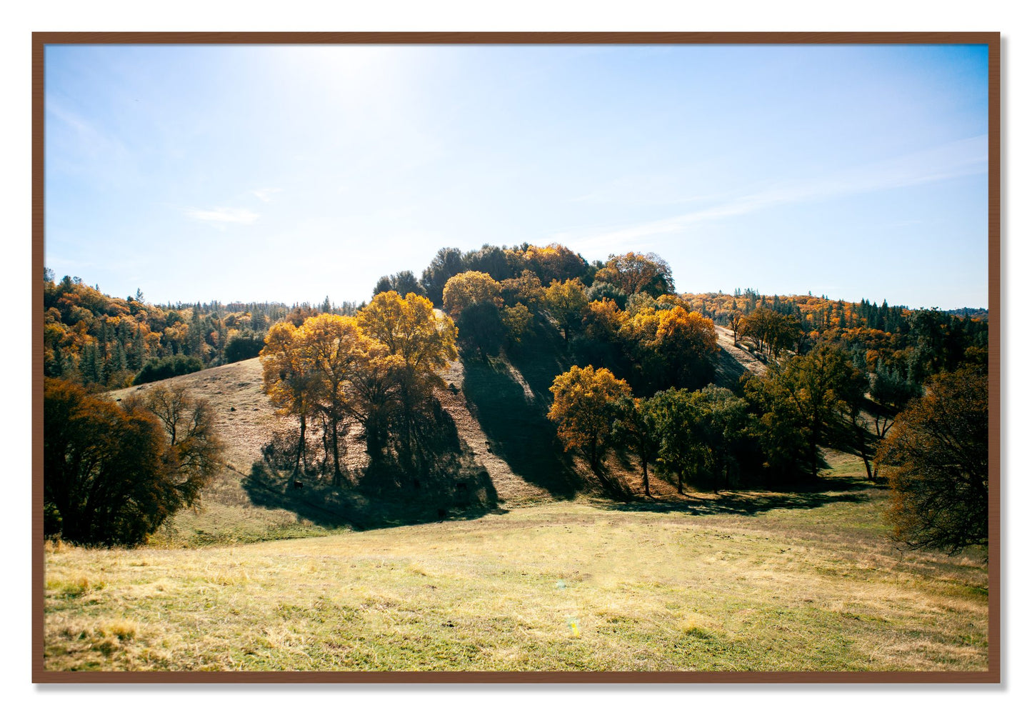 Framed photograph of Where IGrew Up by Dylan Ozanich, Walnut frame, Full Bleed