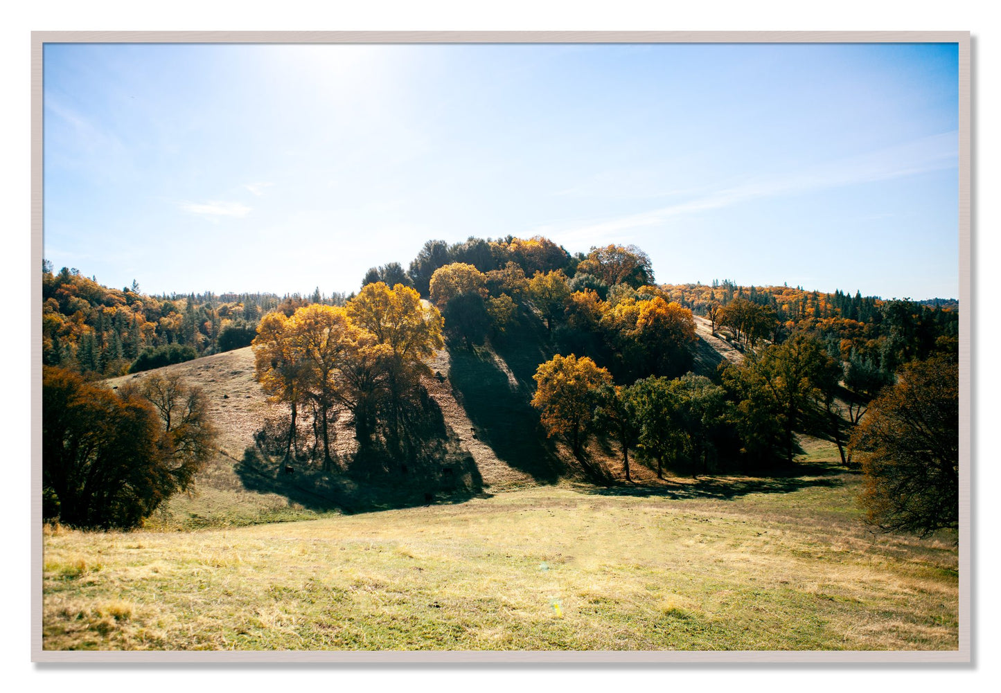 Framed photograph of Where IGrew Up by Dylan Ozanich, White Maple frame, Full Bleed