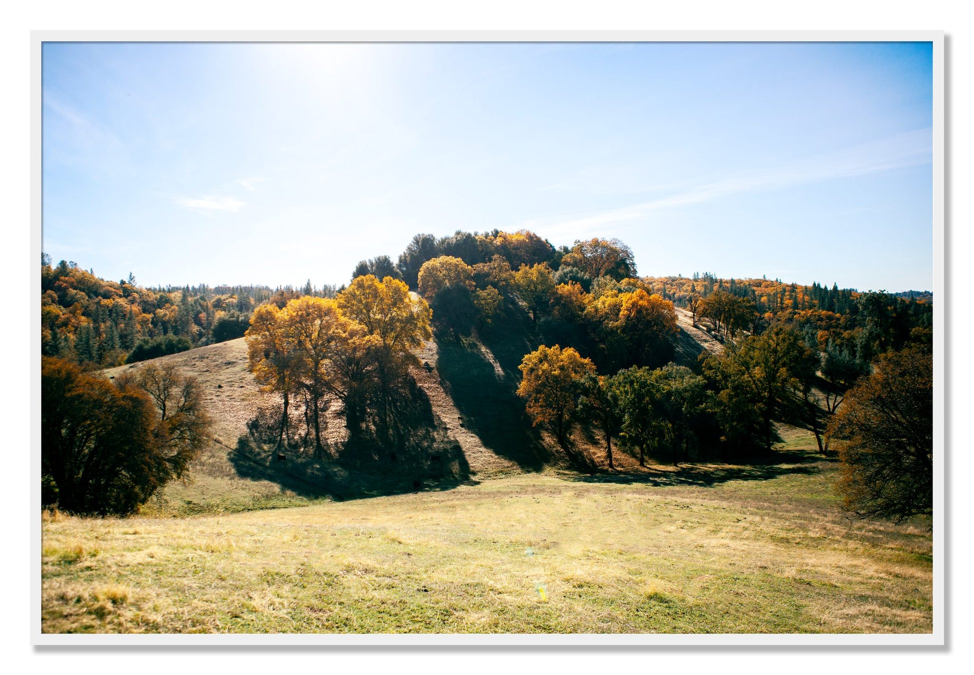 Framed photograph of Where IGrew Up by Dylan Ozanich, White frame, Full Bleed