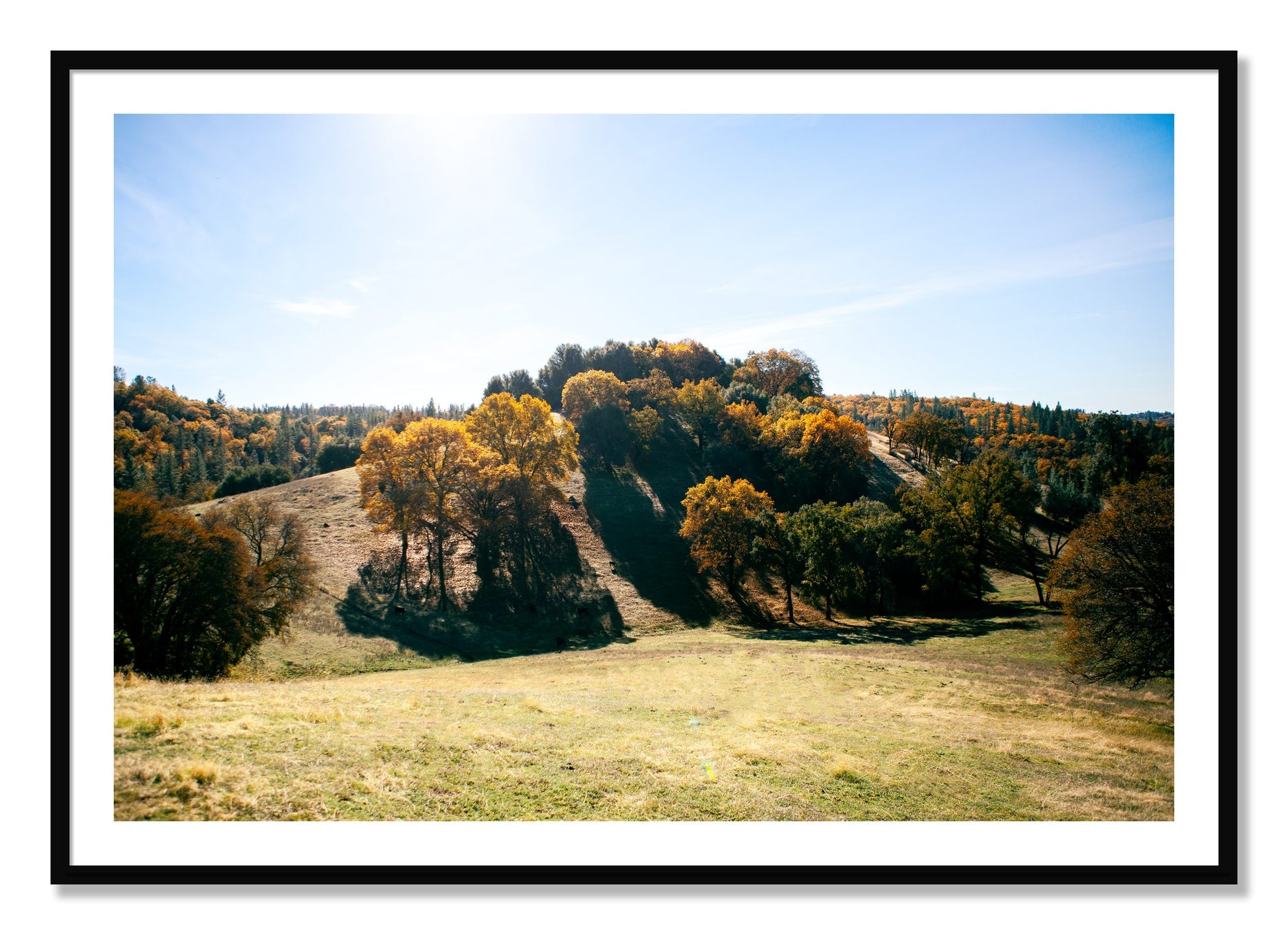Framed photograph of Where IGrew Up by Dylan Ozanich, Black frame, Borders