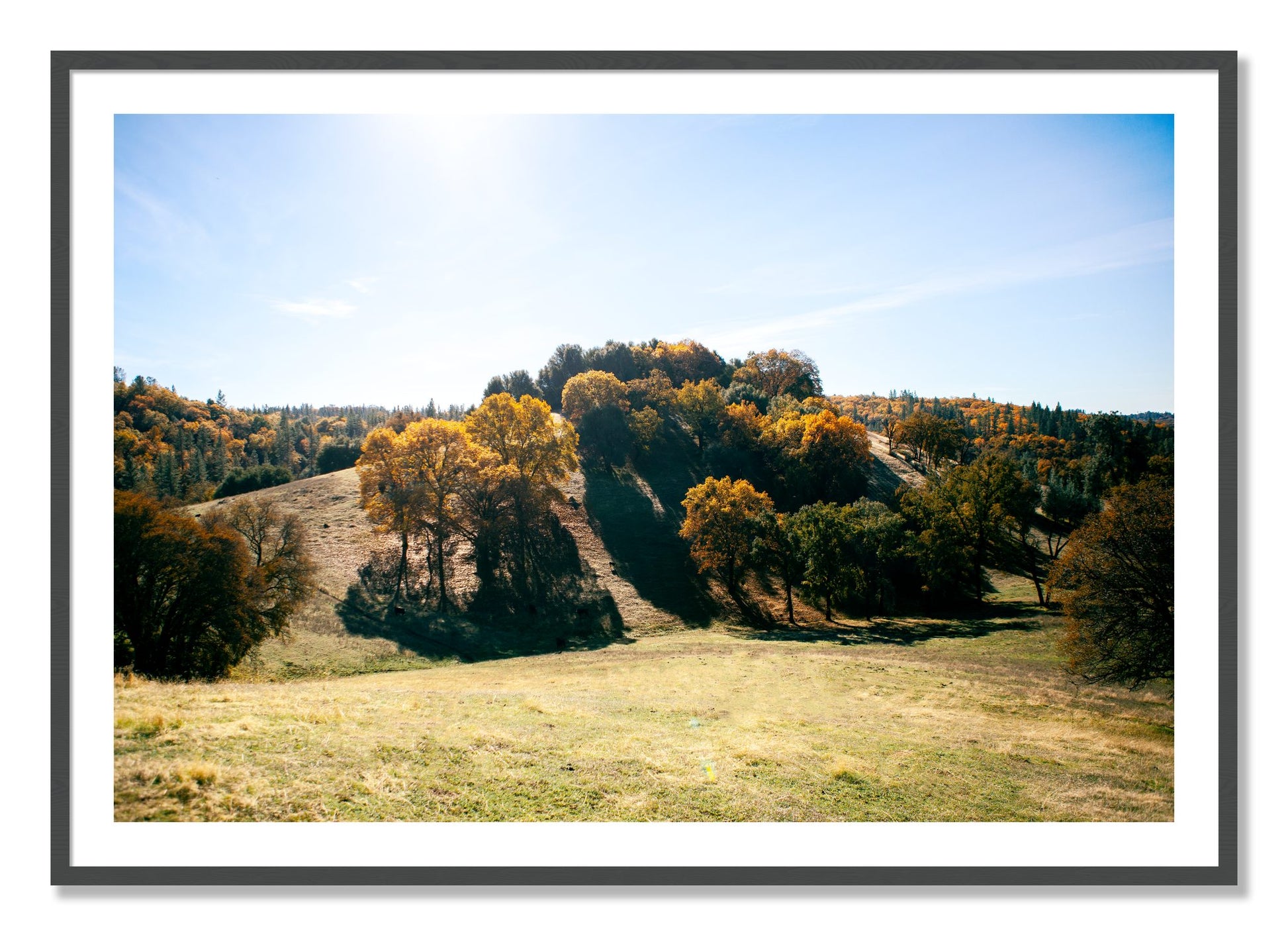 Framed photograph of Where IGrew Up by Dylan Ozanich, Grey frame, Borders