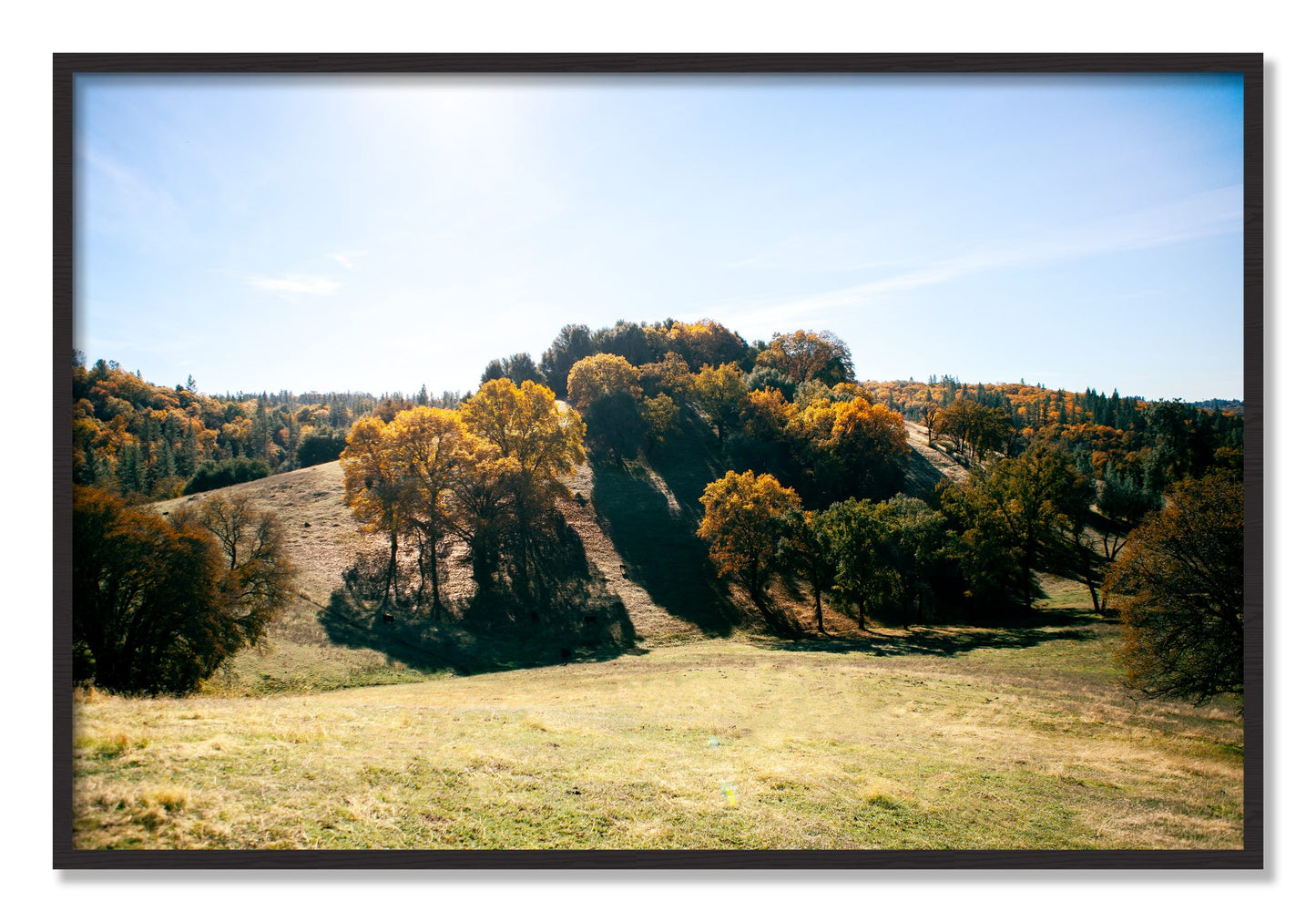 Framed photograph of Where IGrew Up by Dylan Ozanich, Black Walnut frame, Full Bleed