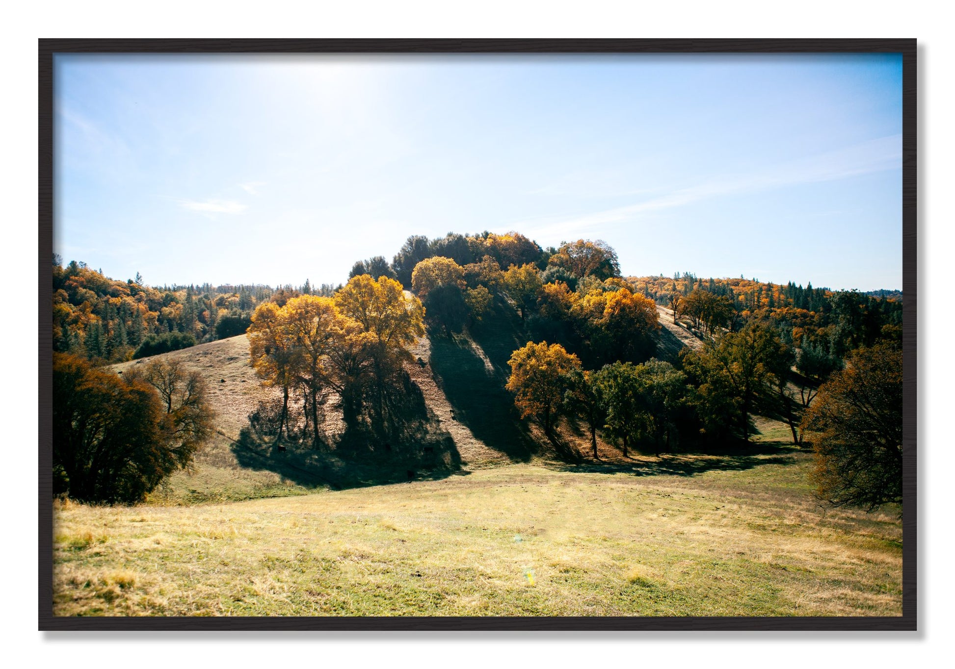 Framed photograph of Where IGrew Up by Dylan Ozanich, Black Walnut frame, Full Bleed