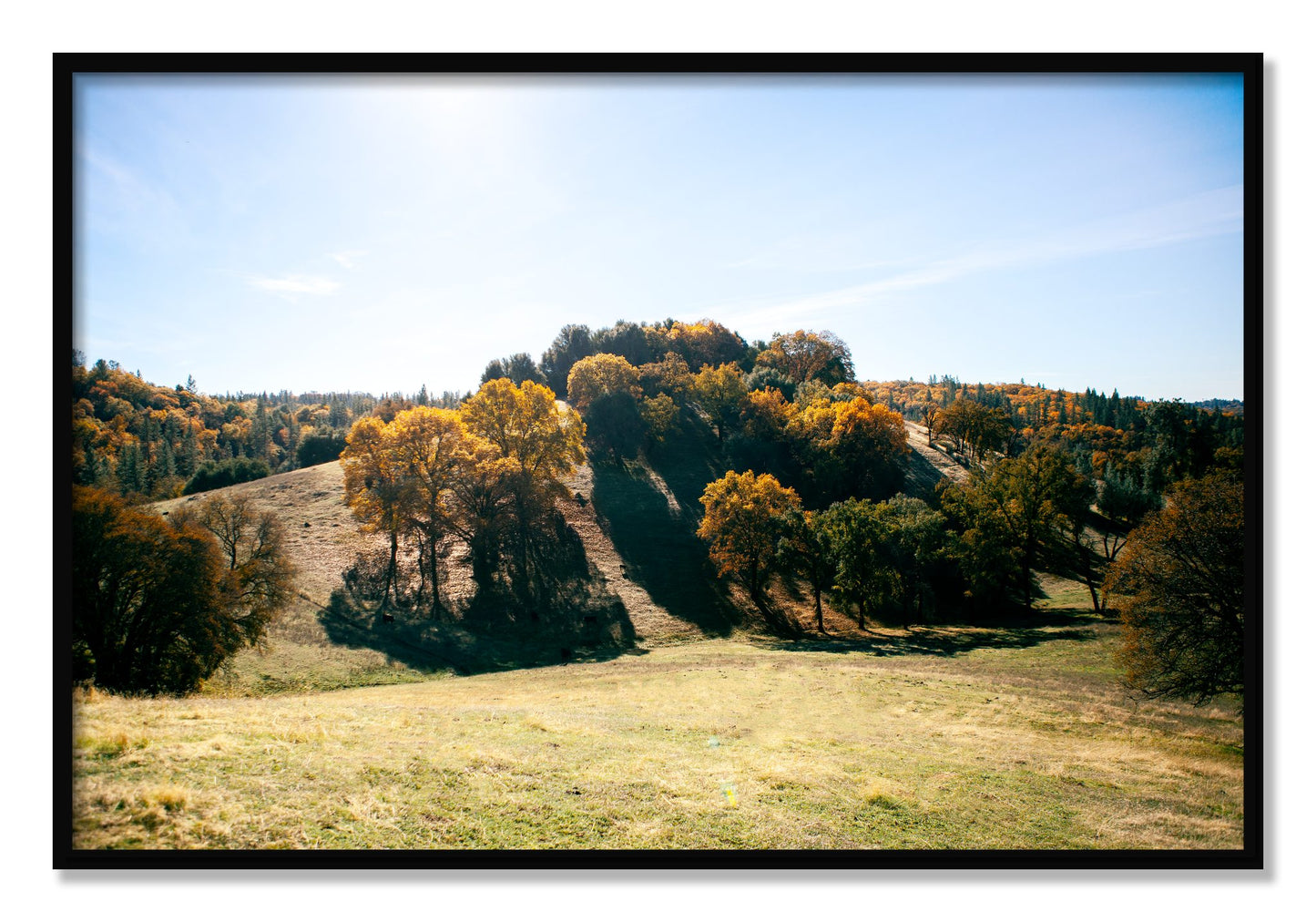 Framed photograph of Where IGrew Up by Dylan Ozanich, Black frame, Full Bleed