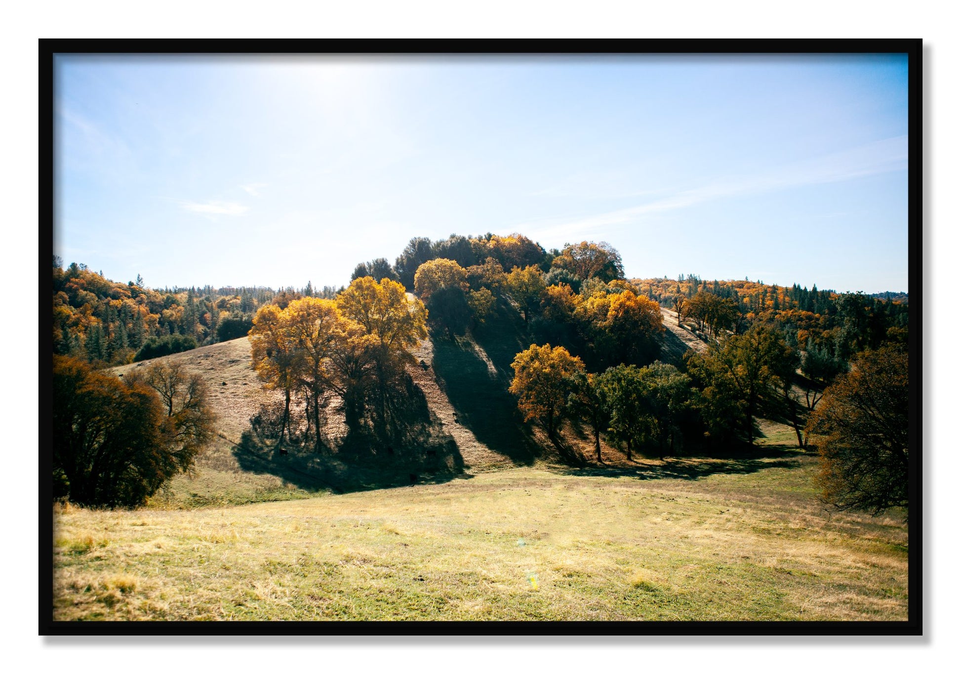 Framed photograph of Where IGrew Up by Dylan Ozanich, Black frame, Full Bleed