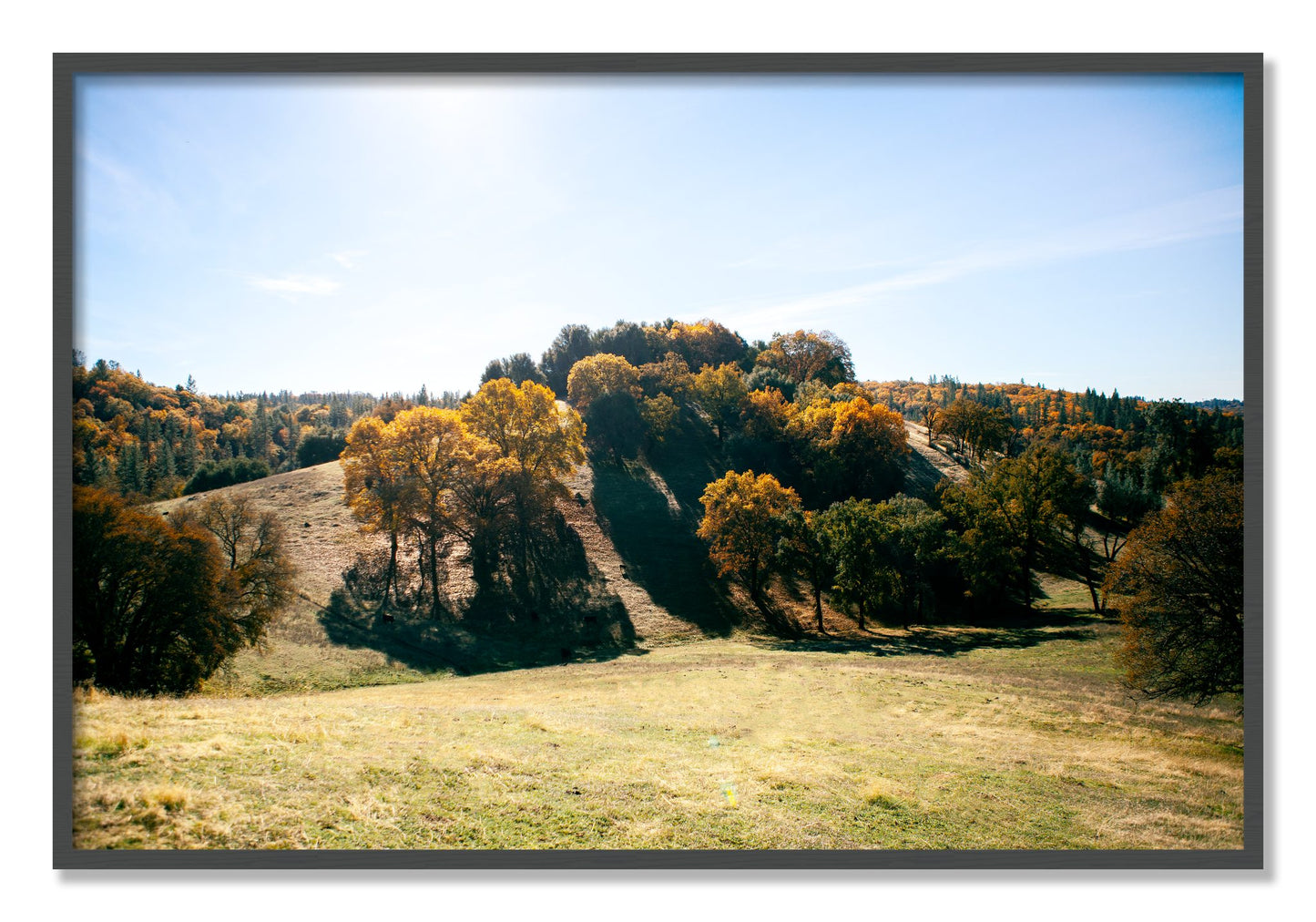 Framed photograph of Where IGrew Up by Dylan Ozanich, Grey frame, Full Bleed