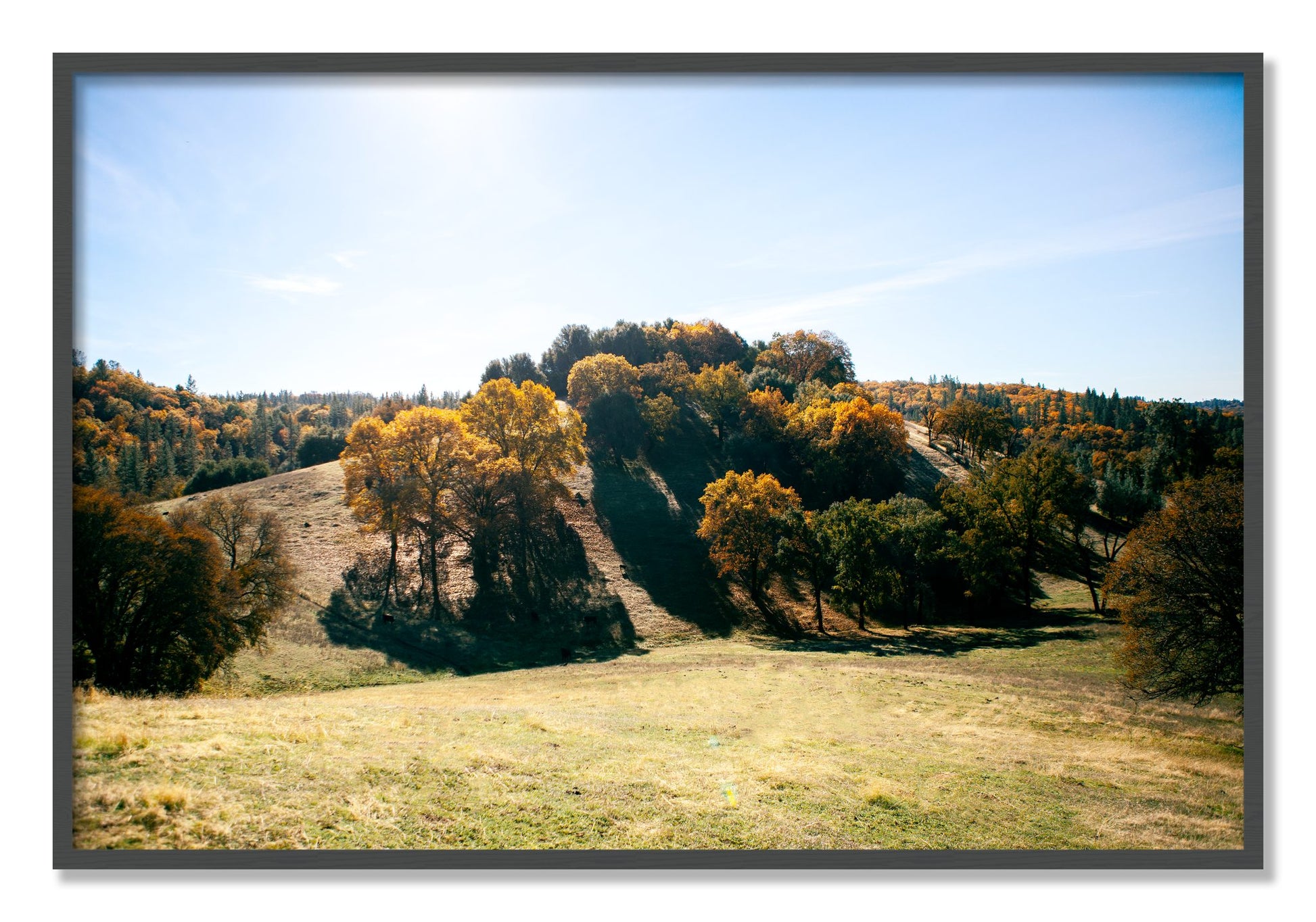 Framed photograph of Where IGrew Up by Dylan Ozanich, Grey frame, Full Bleed