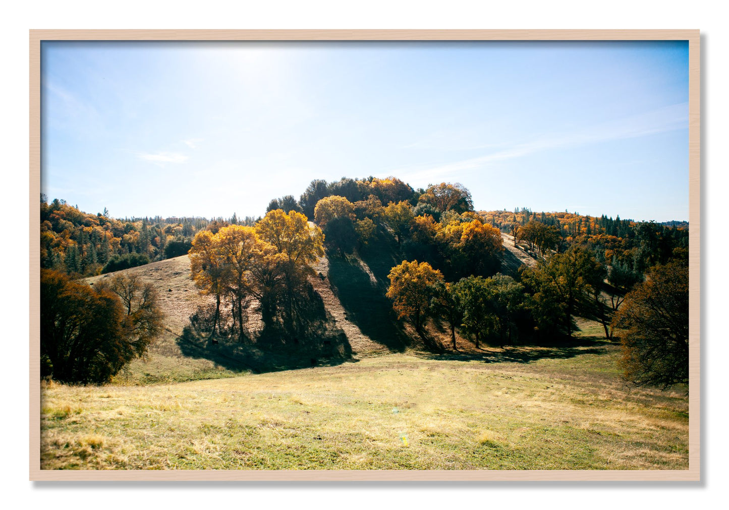 Framed photograph of Where IGrew Up by Dylan Ozanich, Maple frame, Full Bleed