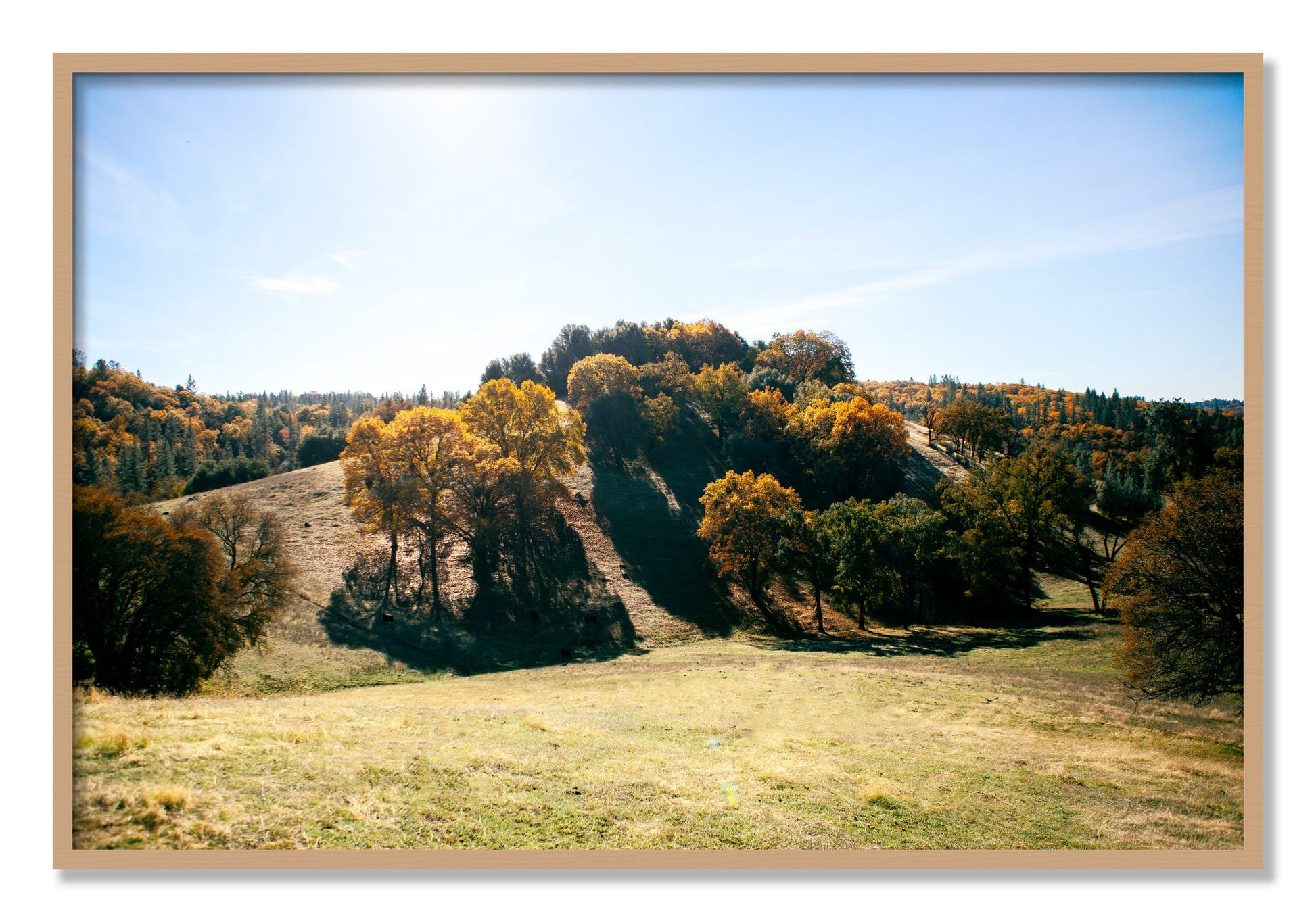 Framed photograph of Where IGrew Up by Dylan Ozanich, Oak frame, Full Bleed