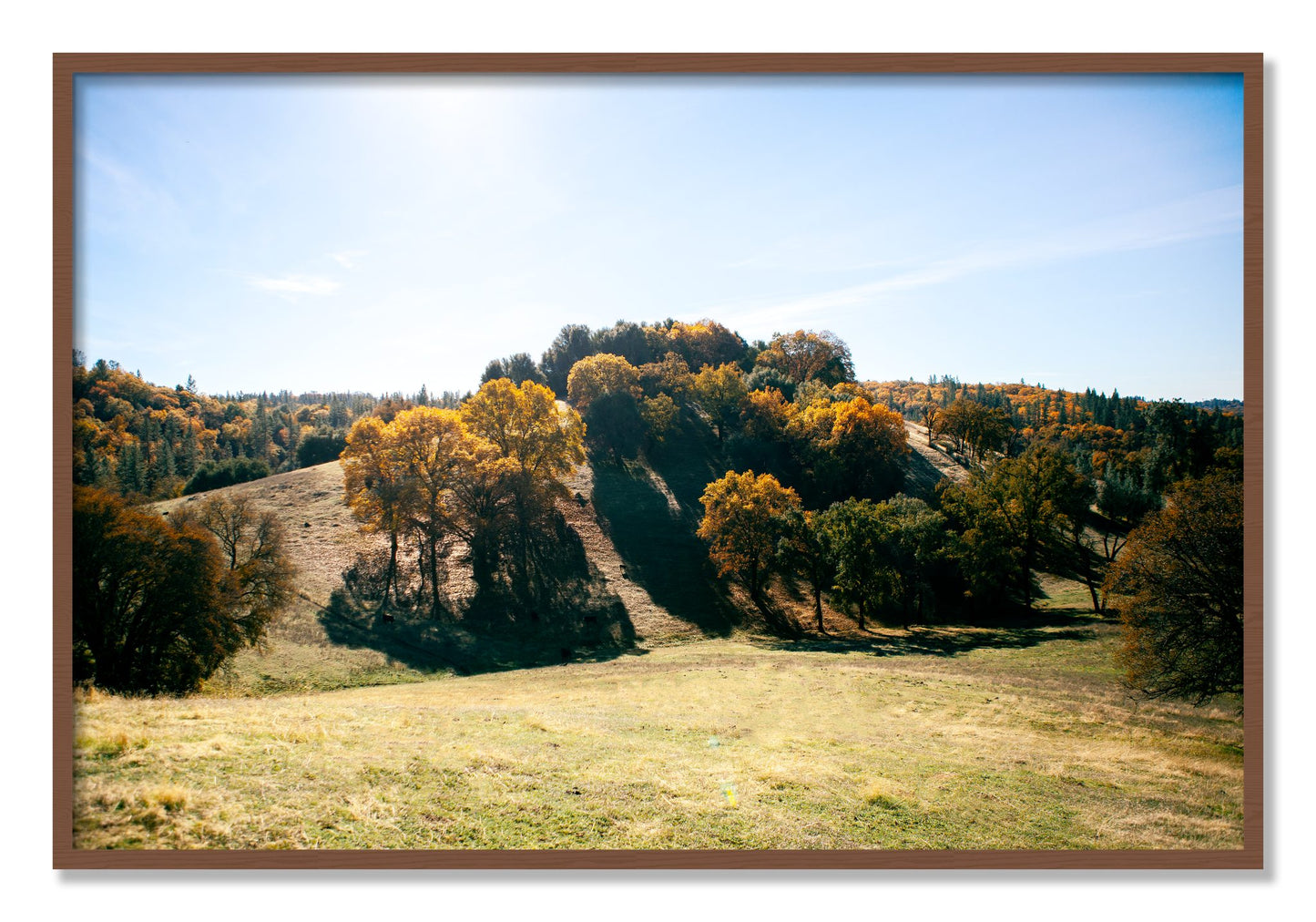 Framed photograph of Where IGrew Up by Dylan Ozanich, Walnut frame, Full Bleed