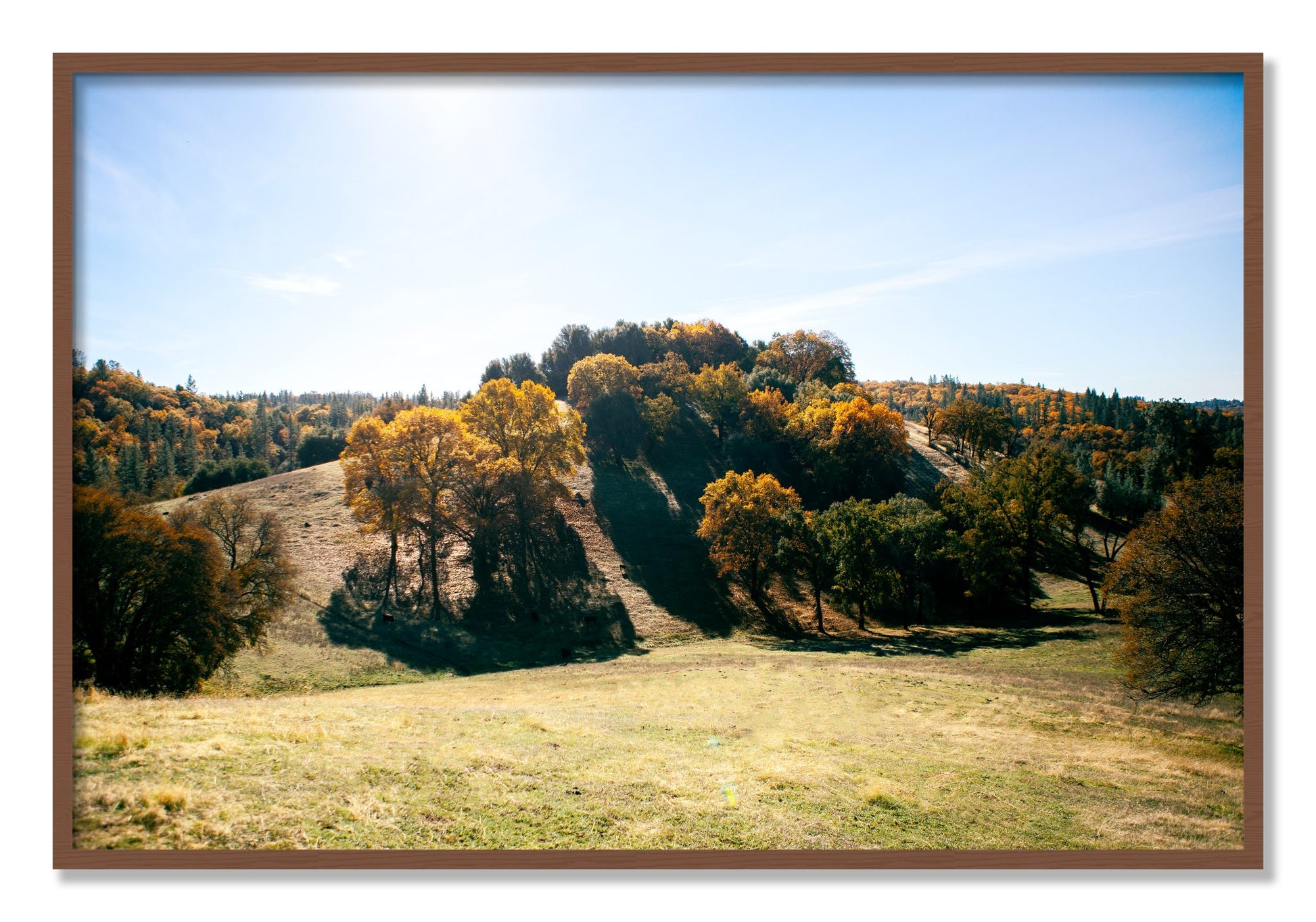 Framed photograph of Where IGrew Up by Dylan Ozanich, Walnut frame, Full Bleed