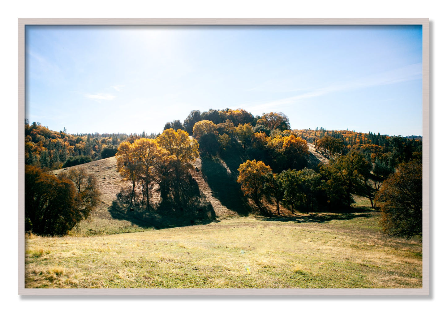 Framed photograph of Where IGrew Up by Dylan Ozanich, White Maple frame, Full Bleed