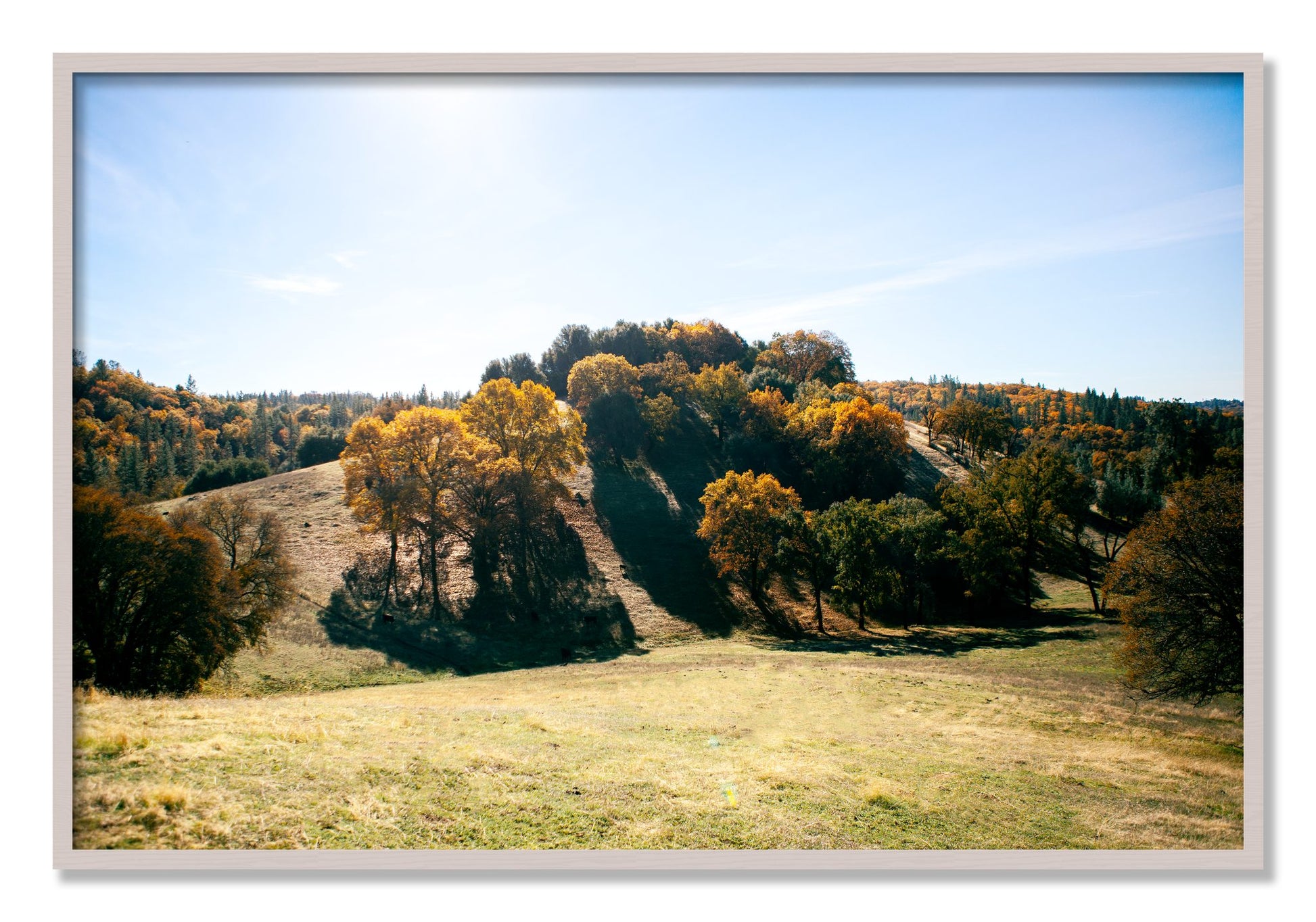 Framed photograph of Where IGrew Up by Dylan Ozanich, White Maple frame, Full Bleed