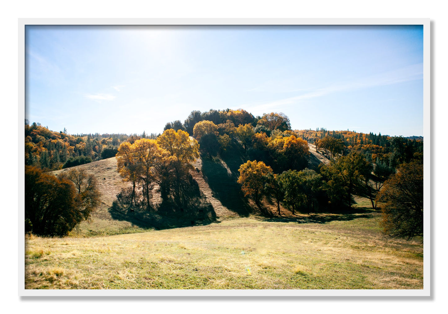 Framed photograph of Where IGrew Up by Dylan Ozanich, White frame, Full Bleed