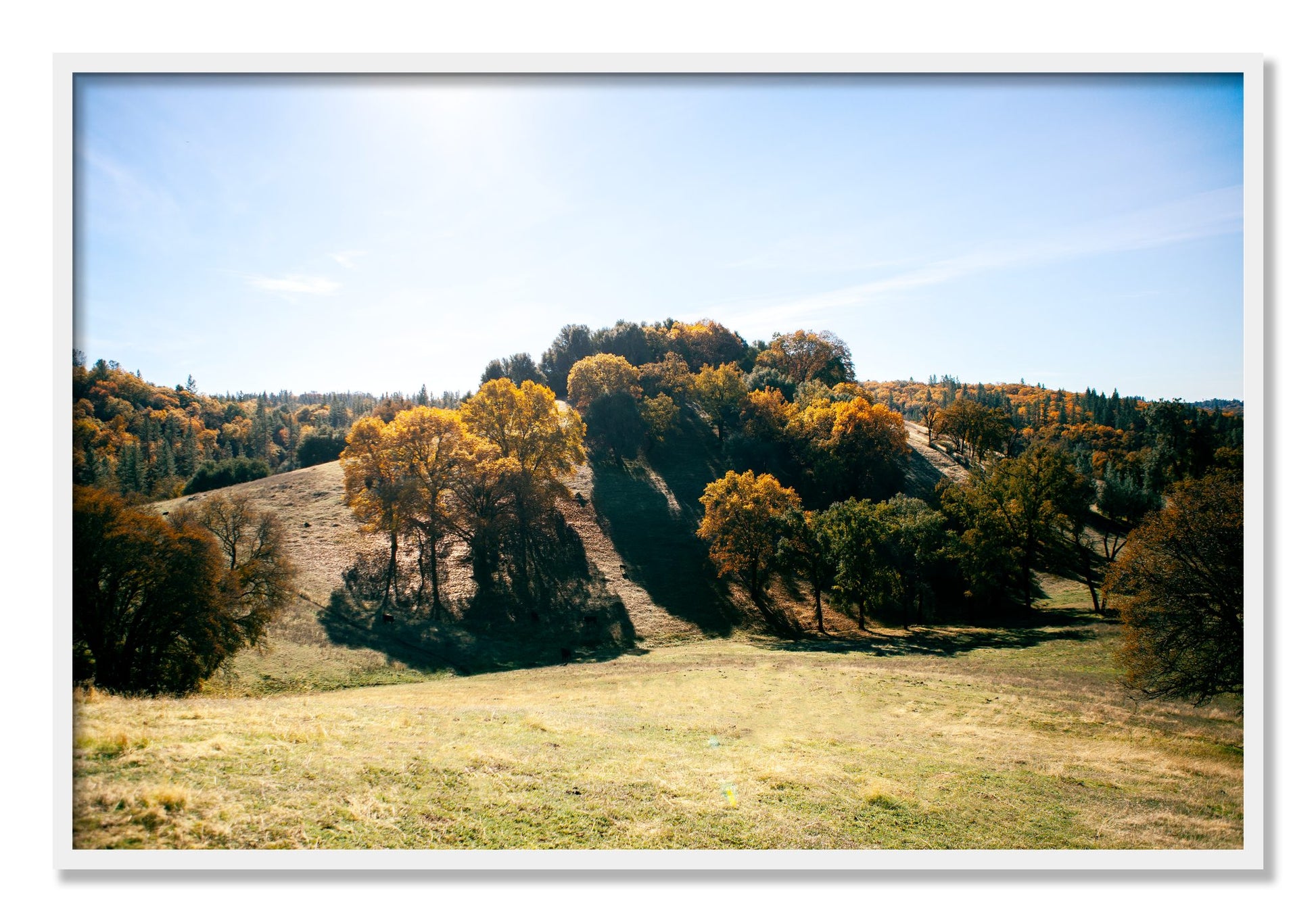 Framed photograph of Where IGrew Up by Dylan Ozanich, White frame, Full Bleed