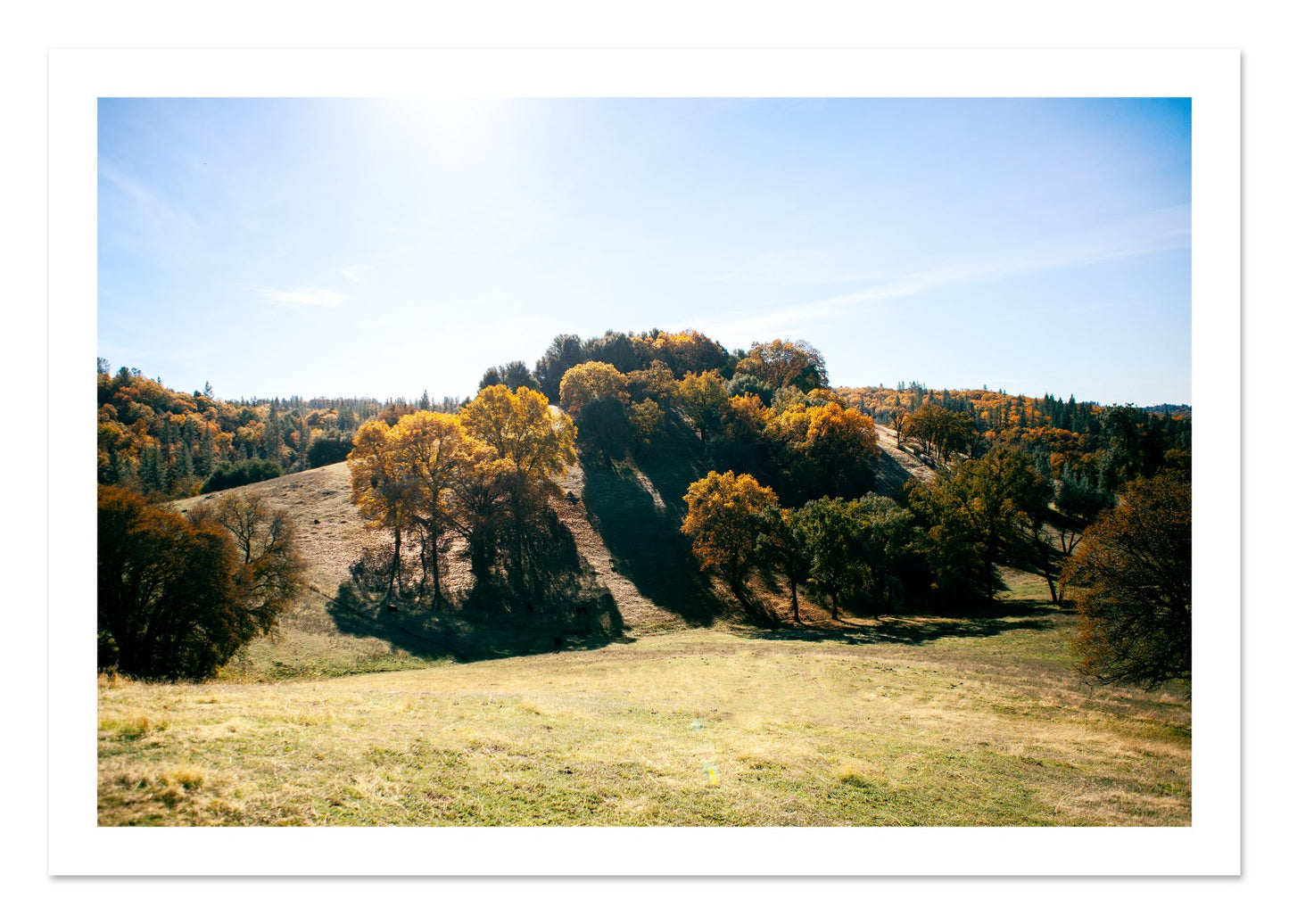 Fine art print of Where IGrew Up by Dylan Ozanich, unframed