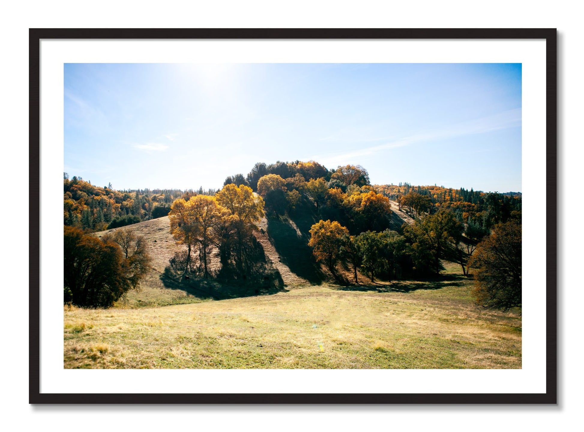 Framed photograph of Where IGrew Up by Dylan Ozanich, Black Walnut frame, Borders