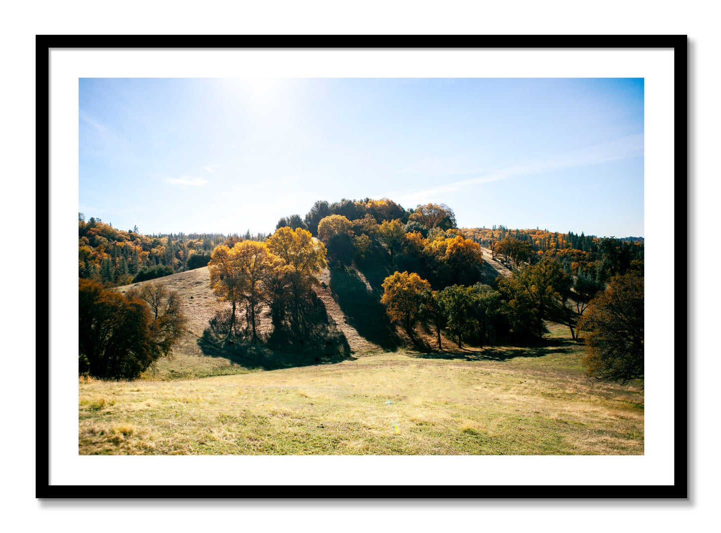 Framed photograph of Where IGrew Up by Dylan Ozanich, Black frame, Borders