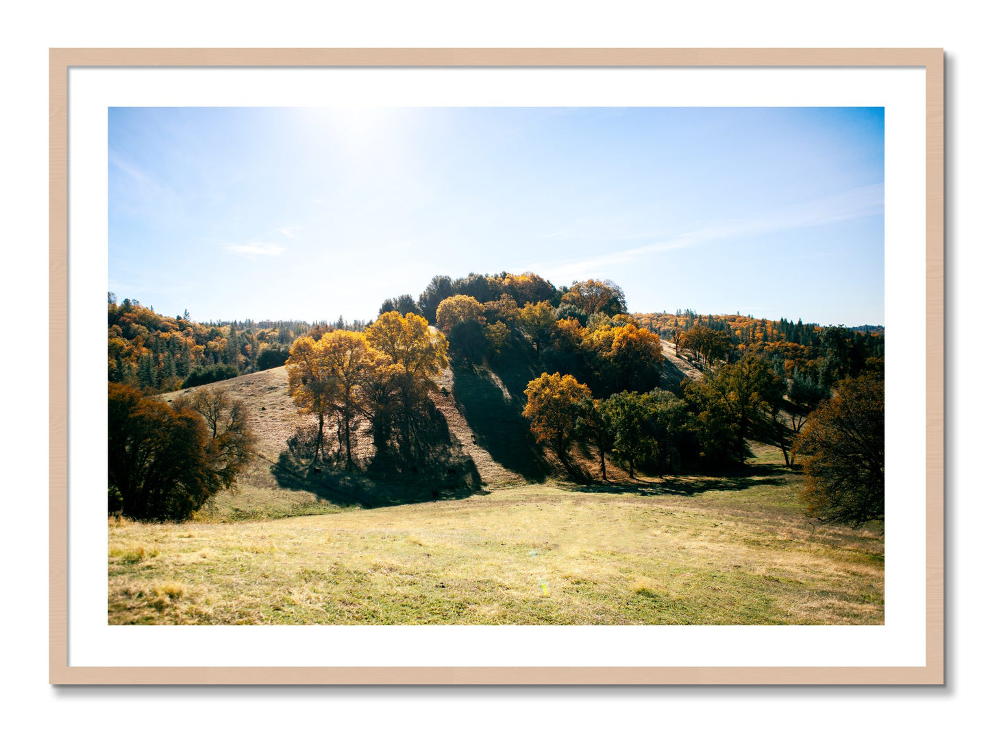 Framed photograph of Where IGrew Up by Dylan Ozanich, Maple frame, Borders