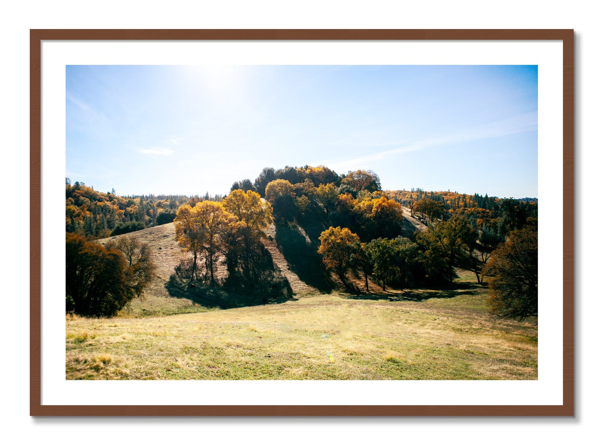 Framed photograph of Where IGrew Up by Dylan Ozanich, Walnut frame, Borders