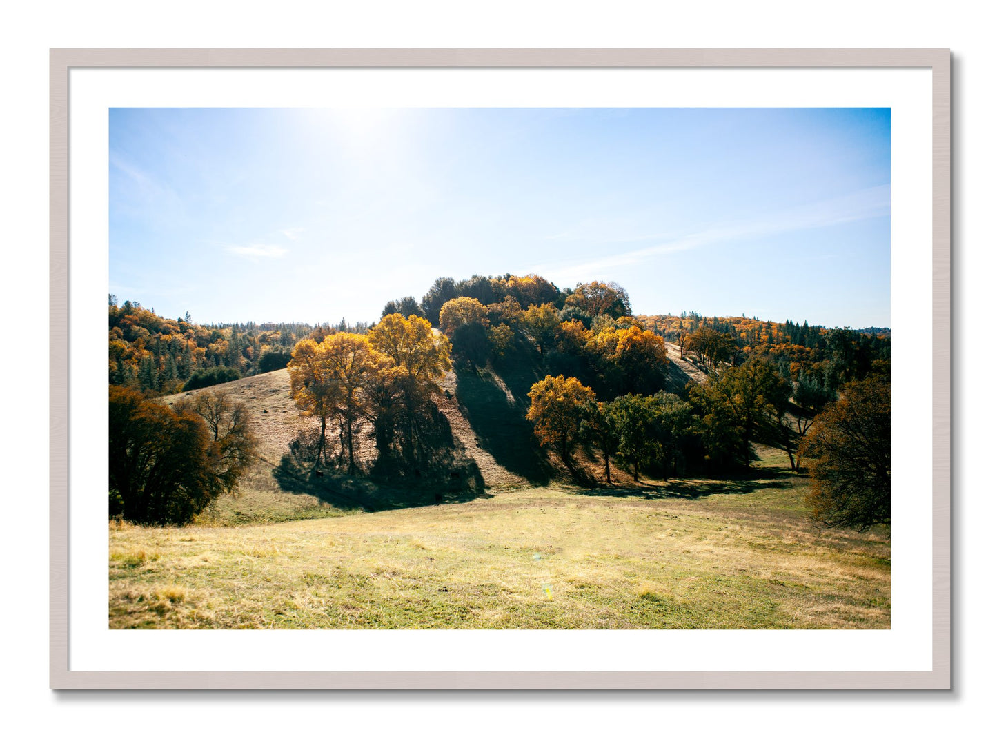 Framed photograph of Where IGrew Up by Dylan Ozanich, White Maple frame, Borders