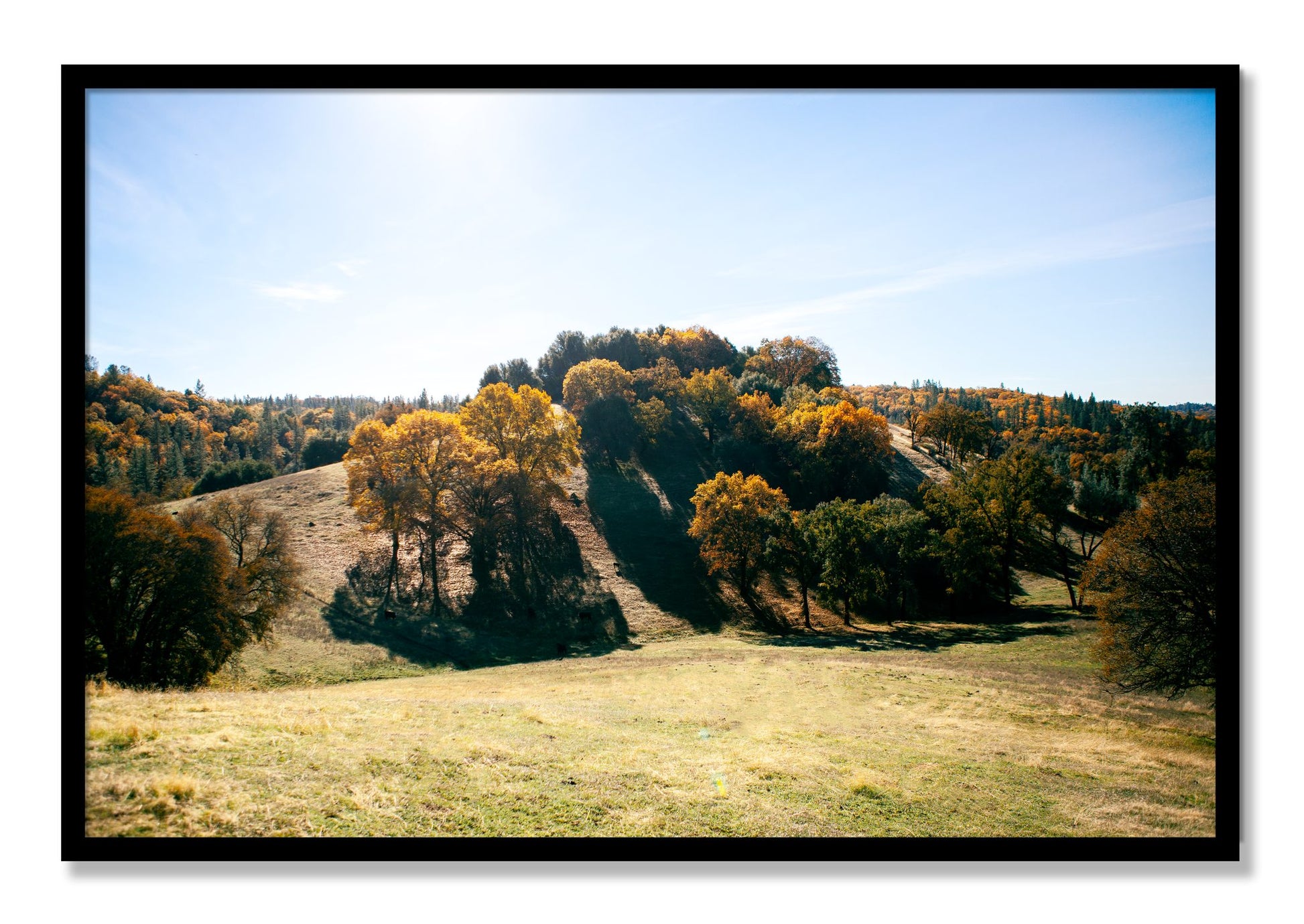 Framed photograph of Where IGrew Up by Dylan Ozanich, Black frame, Full Bleed