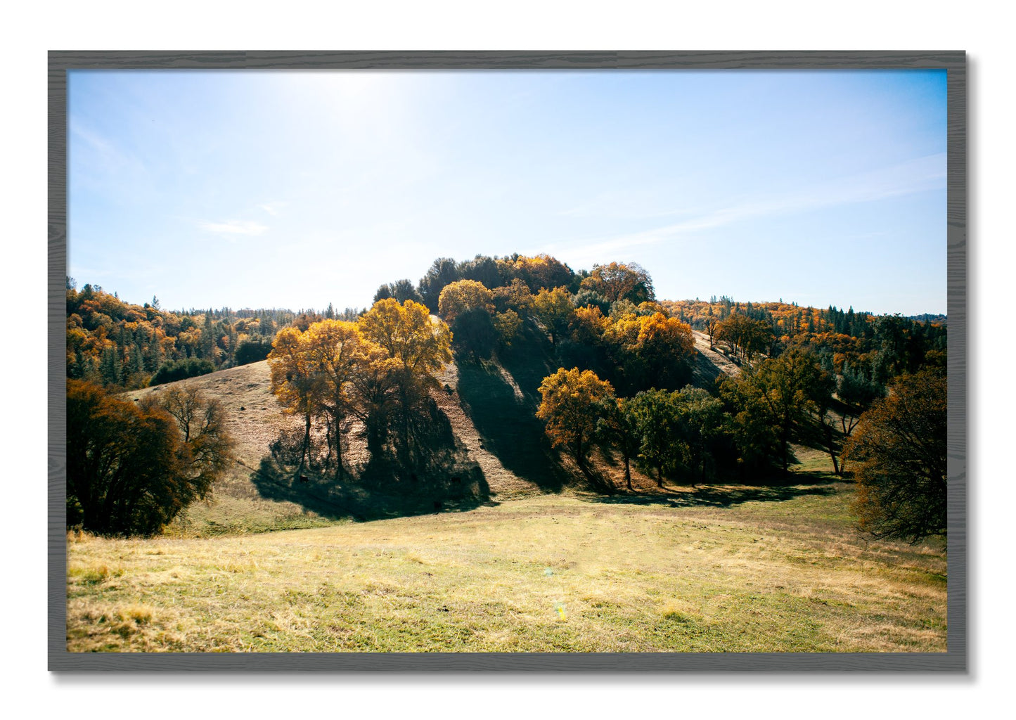 Framed photograph of Where IGrew Up by Dylan Ozanich, Grey frame, Full Bleed
