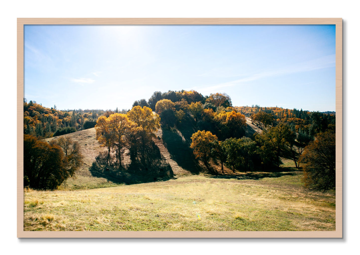 Framed photograph of Where IGrew Up by Dylan Ozanich, Maple frame, Full Bleed