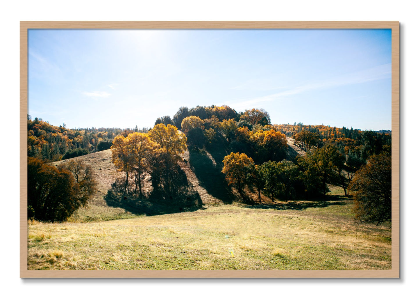 Framed photograph of Where IGrew Up by Dylan Ozanich, Oak frame, Full Bleed