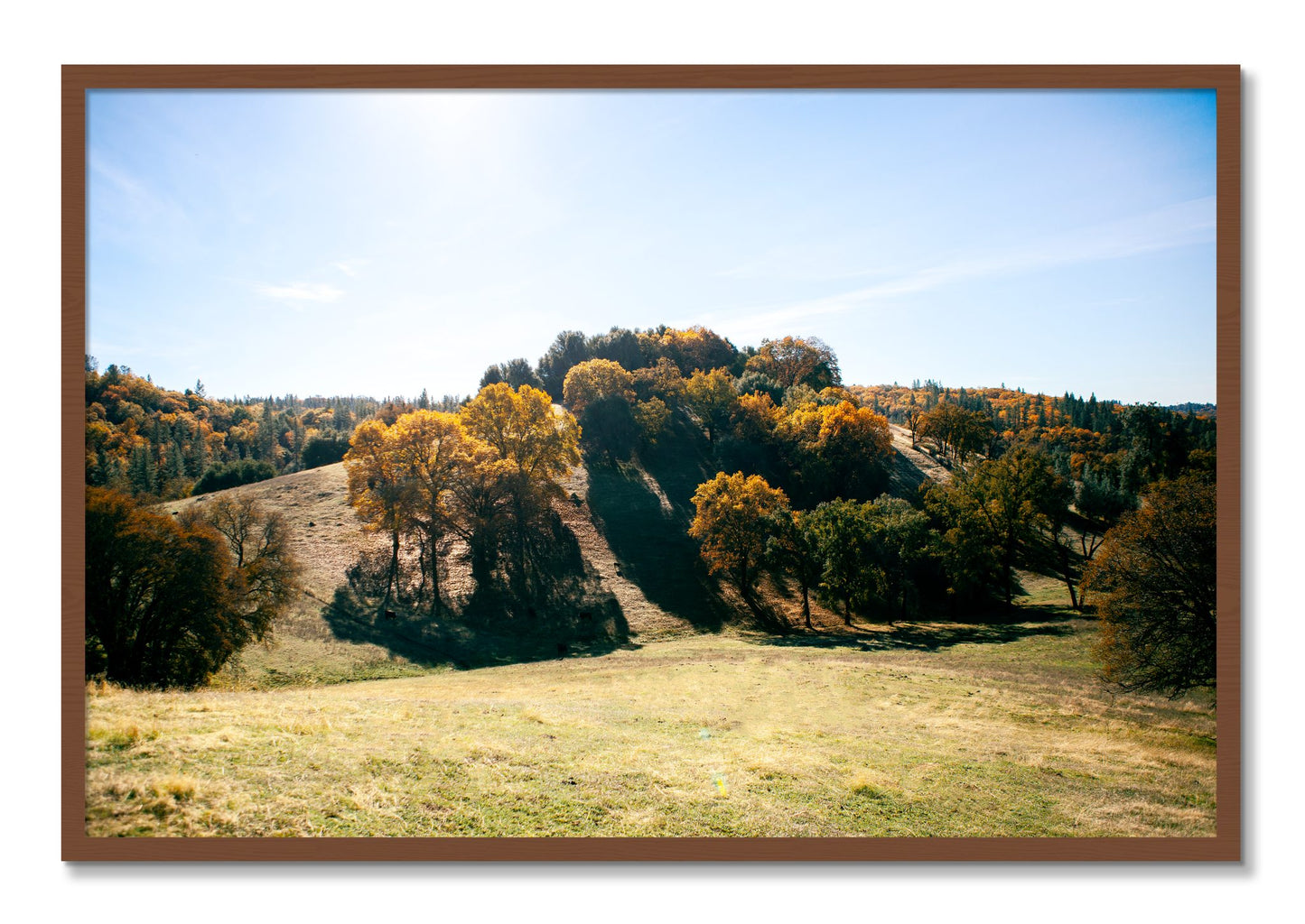 Framed photograph of Where IGrew Up by Dylan Ozanich, Walnut frame, Full Bleed