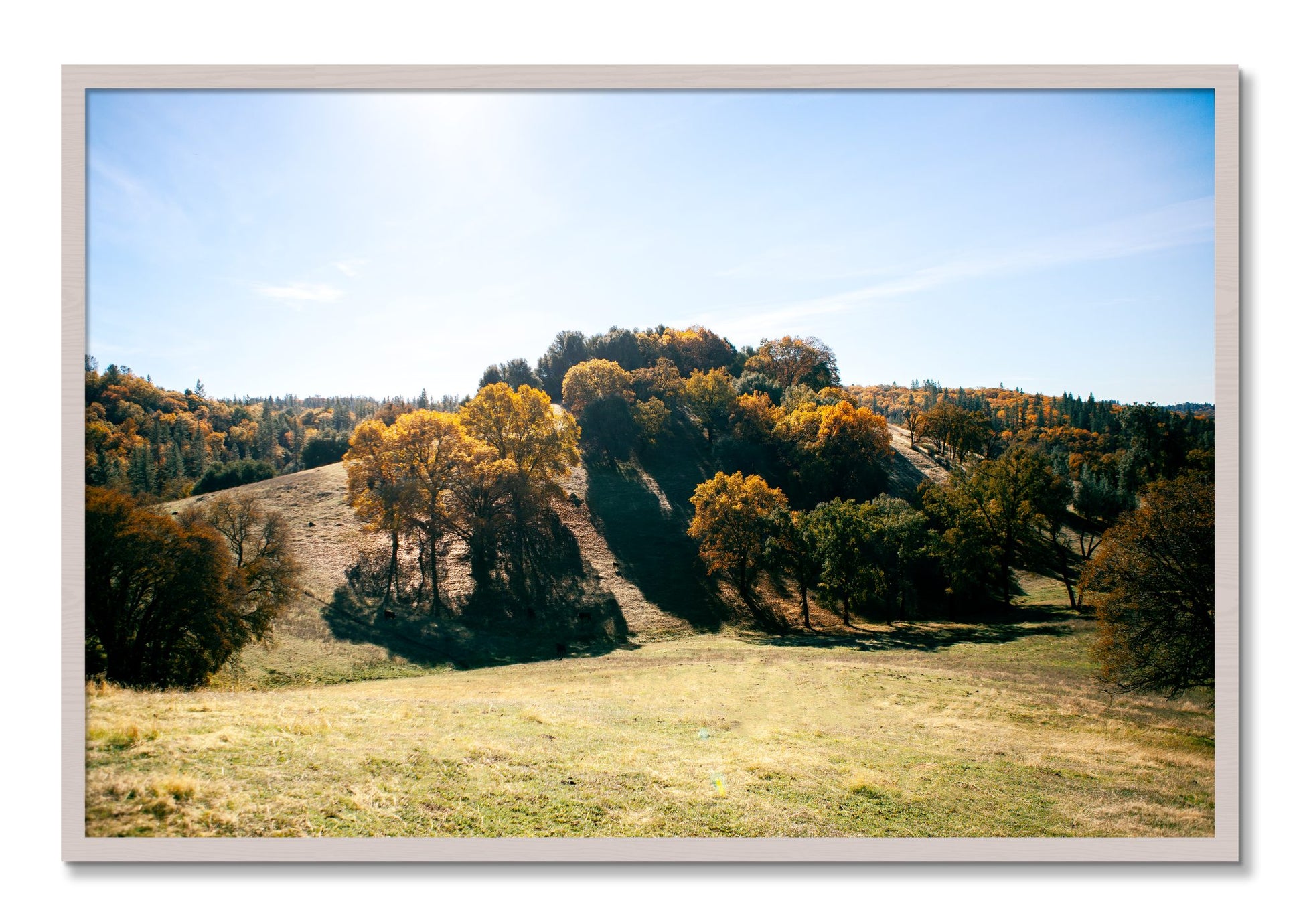 Framed photograph of Where IGrew Up by Dylan Ozanich, White Maple frame, Full Bleed