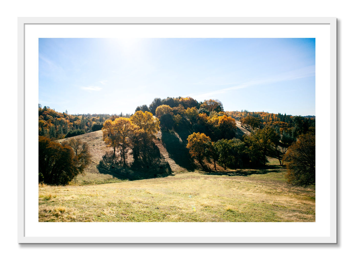 Framed photograph of Where IGrew Up by Dylan Ozanich, White frame, Full Bleed