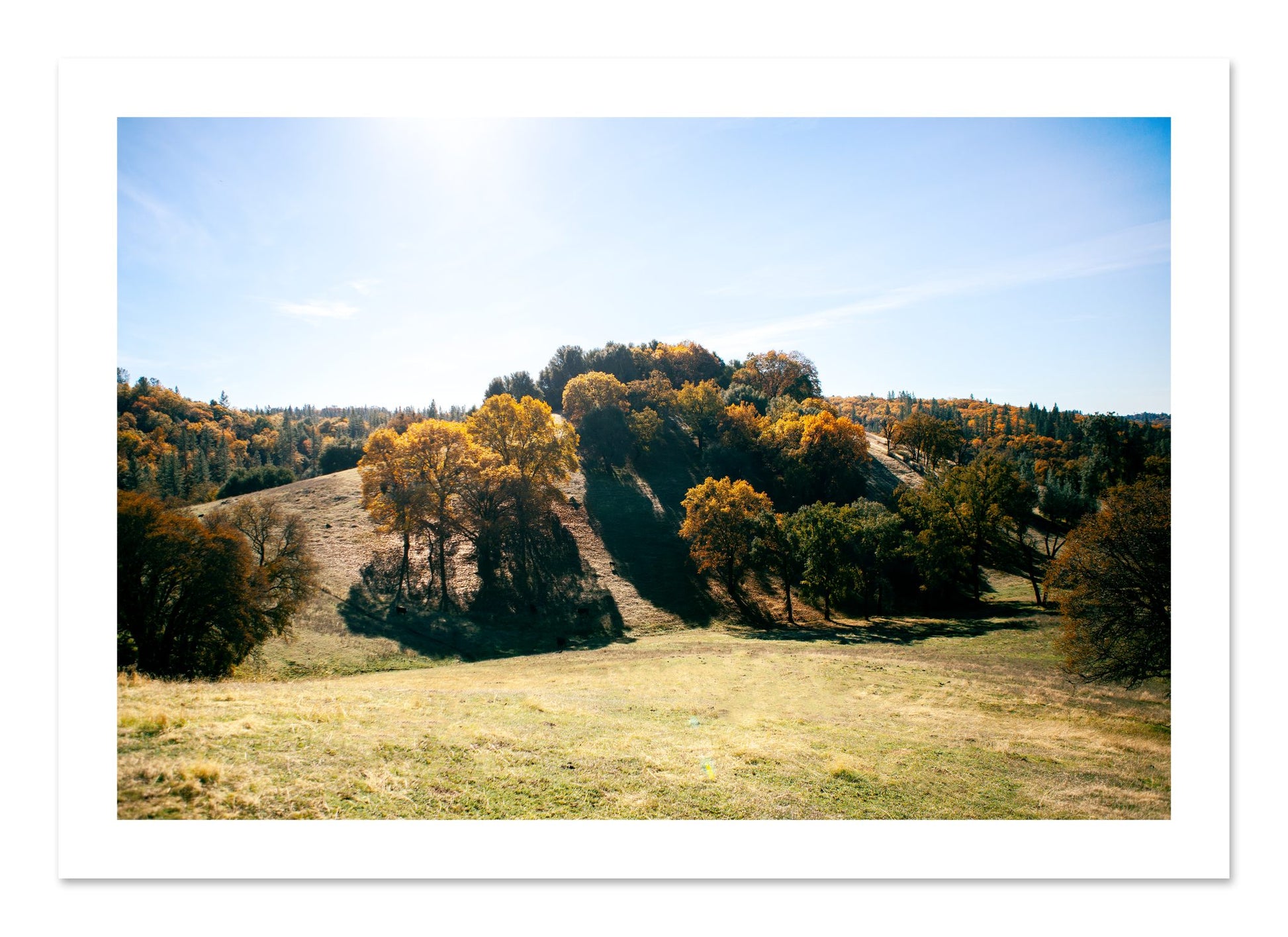 Fine art print of Where IGrew Up by Dylan Ozanich, unframed