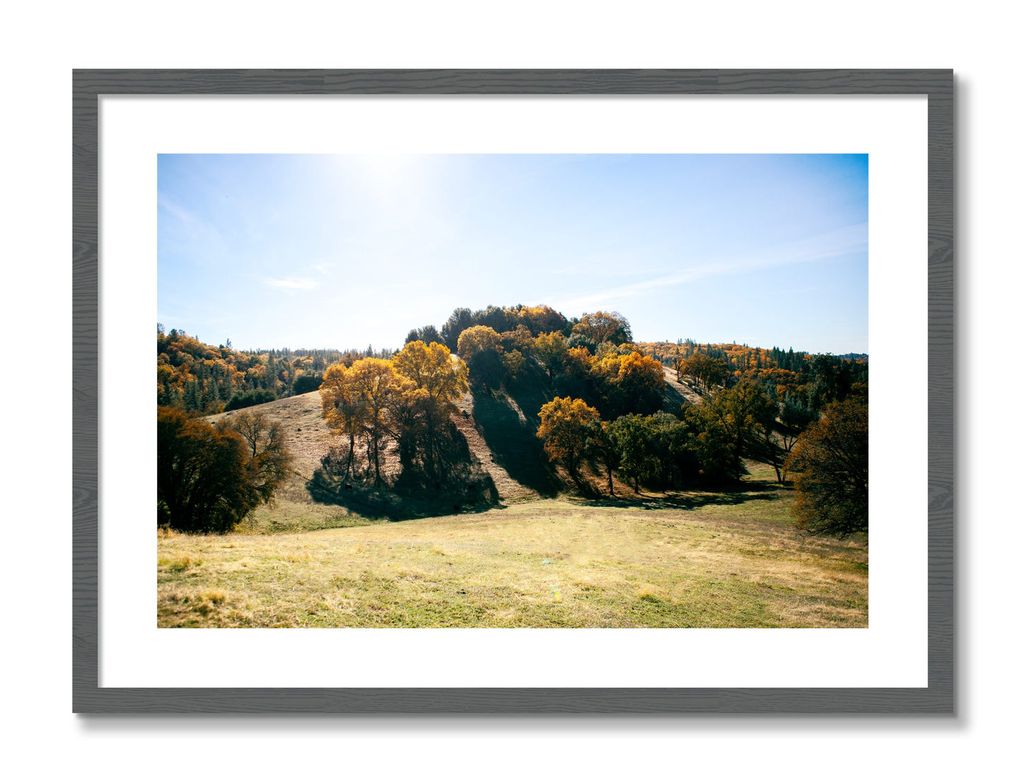 Framed photograph of Where IGrew Up by Dylan Ozanich, Grey frame, Borders