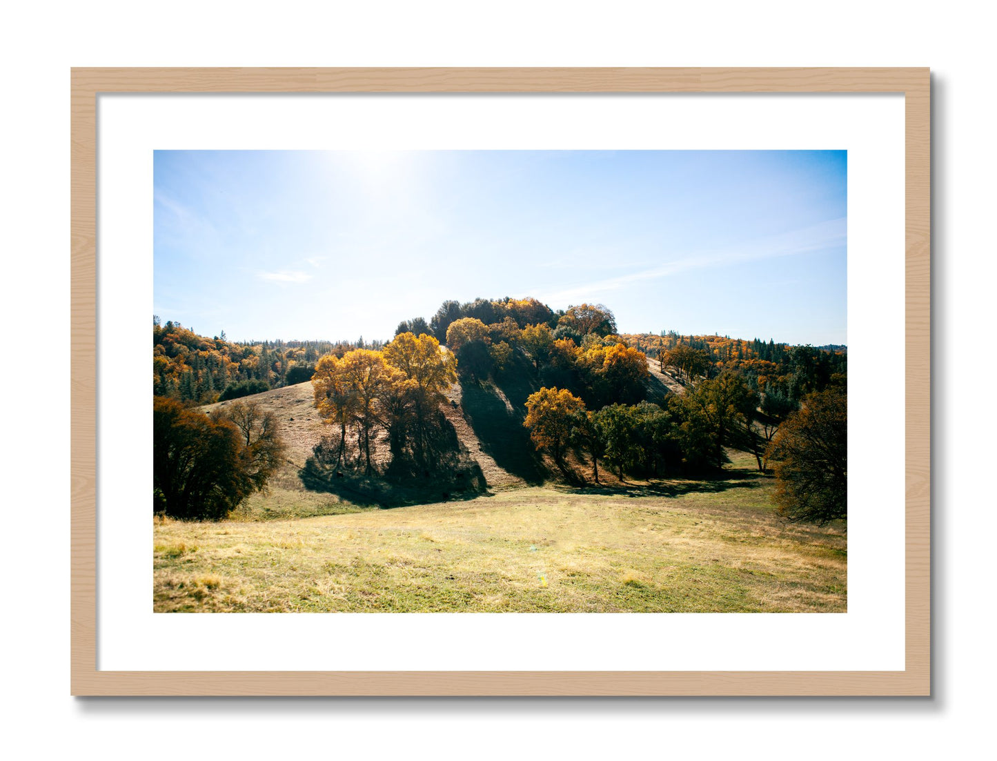 Framed photograph of Where IGrew Up by Dylan Ozanich, Oak frame, Borders