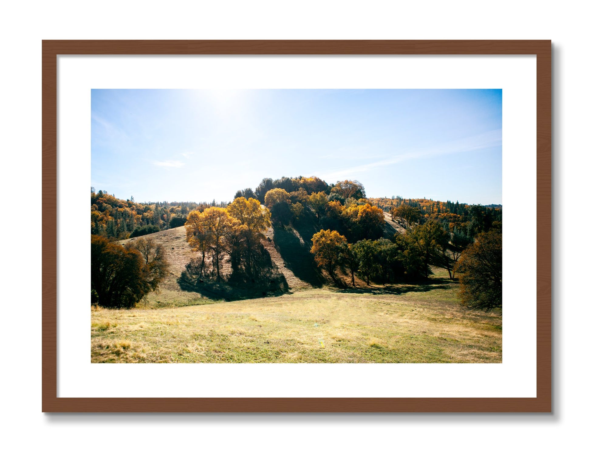 Framed photograph of Where IGrew Up by Dylan Ozanich, Walnut frame, Borders
