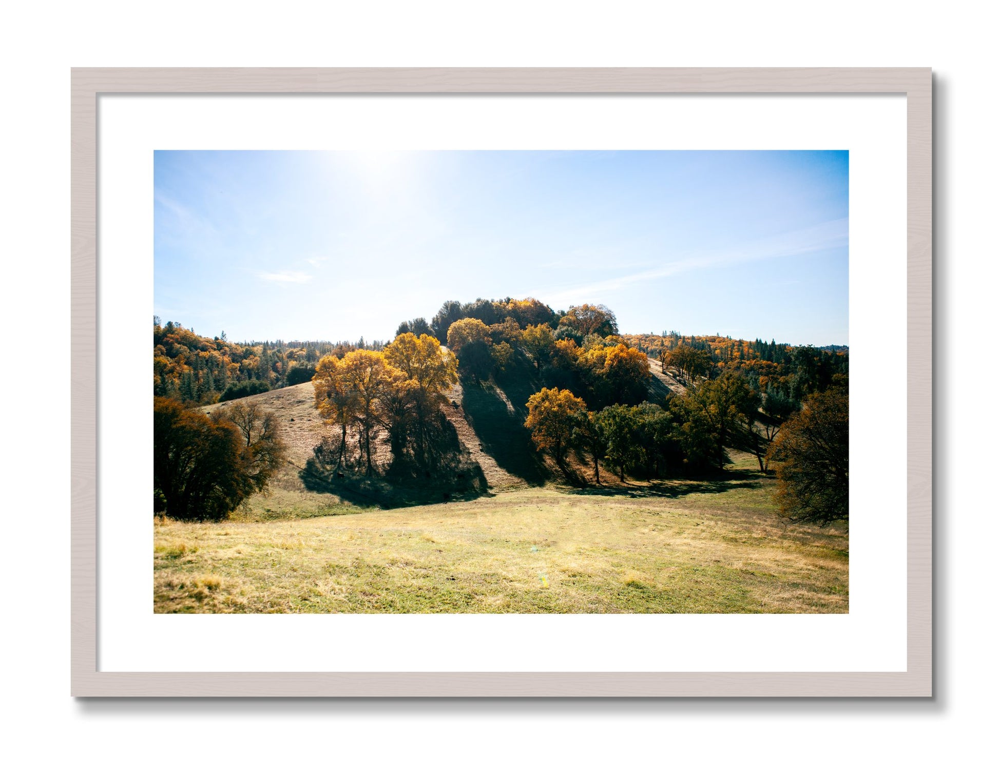 Framed photograph of Where IGrew Up by Dylan Ozanich, White Maple frame, Borders