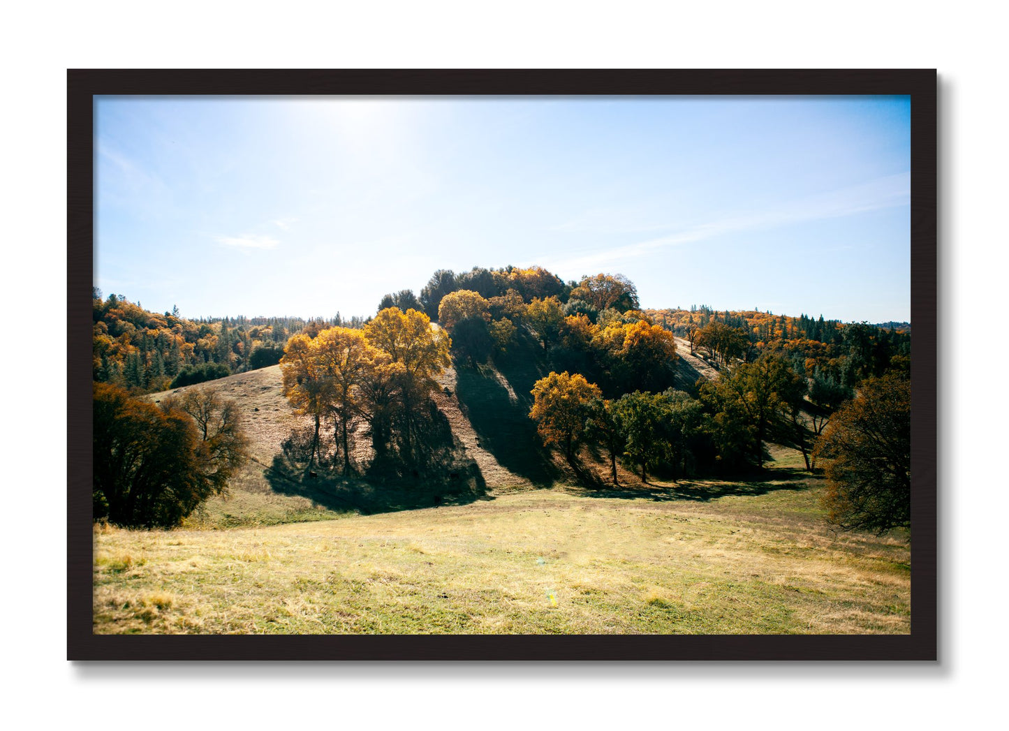 Framed photograph of Where IGrew Up by Dylan Ozanich, Black Walnut frame, Full Bleed