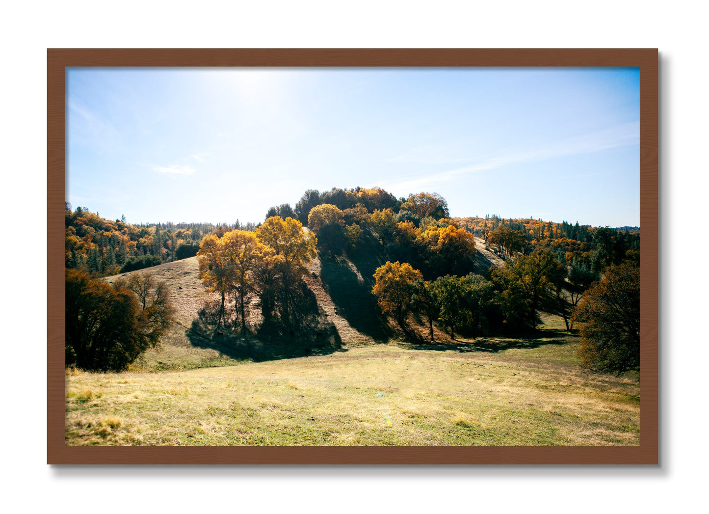 Framed photograph of Where IGrew Up by Dylan Ozanich, Walnut frame, Full Bleed