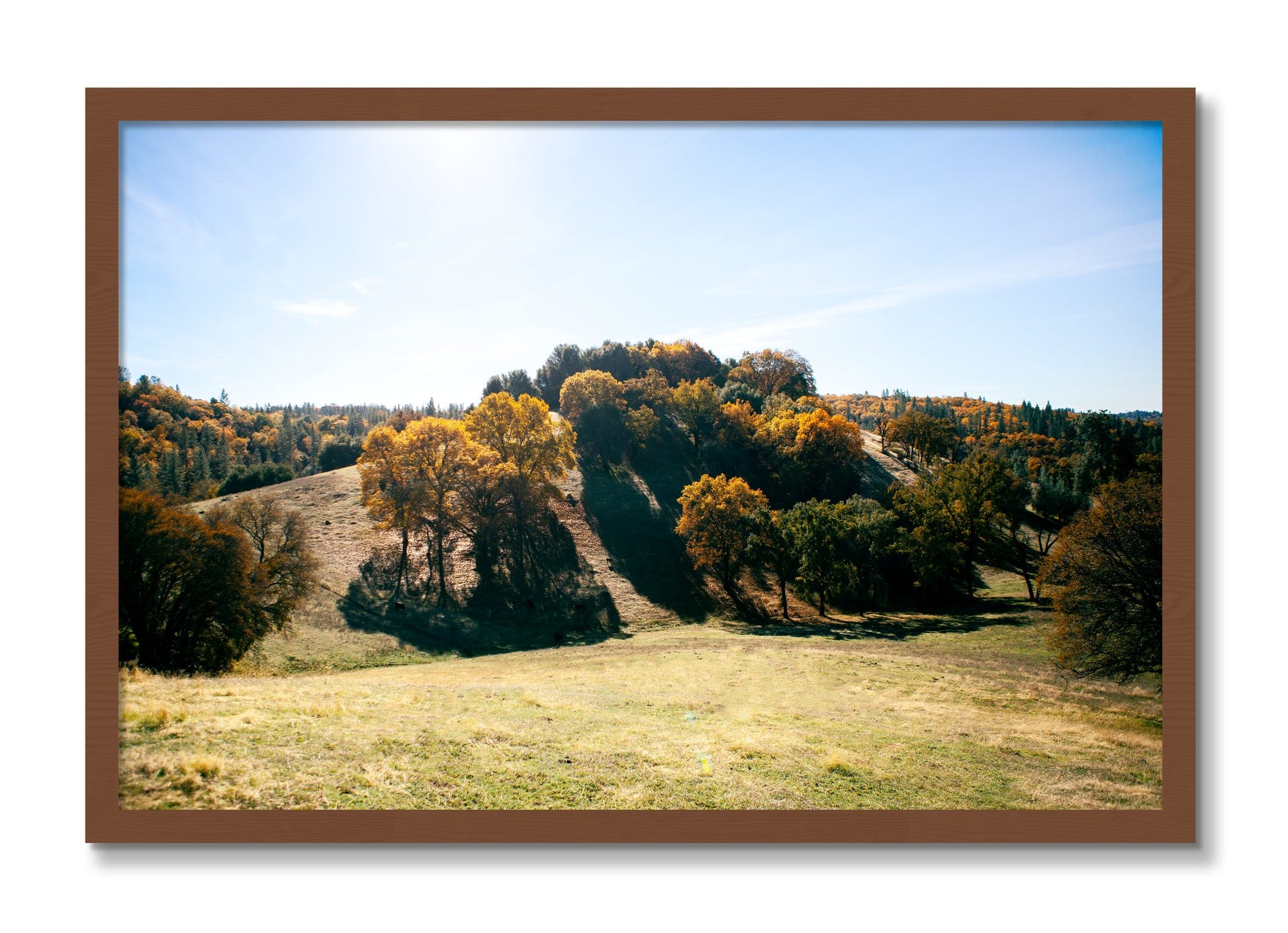 Framed photograph of Where IGrew Up by Dylan Ozanich, Walnut frame, Full Bleed