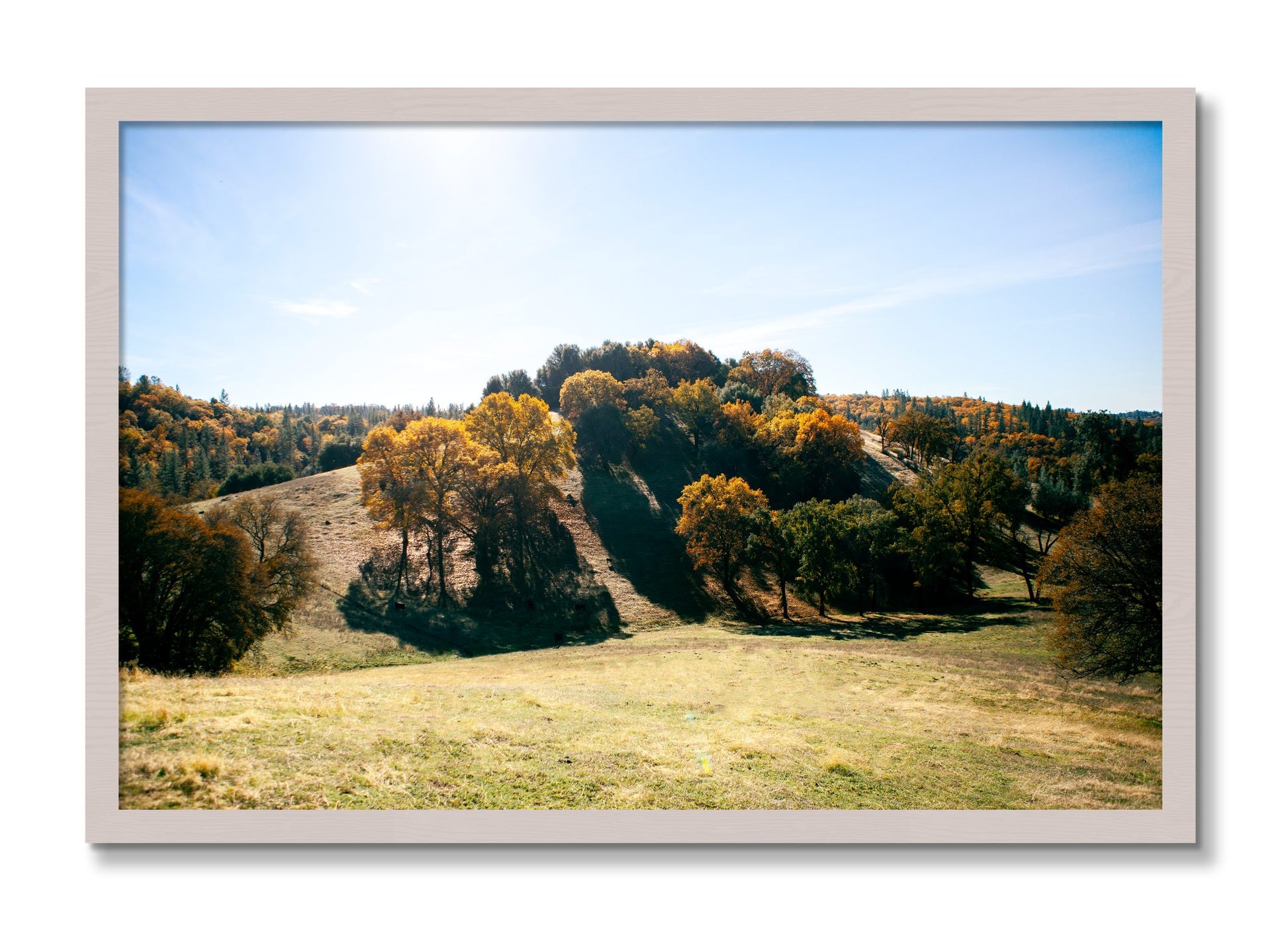 Framed photograph of Where IGrew Up by Dylan Ozanich, White Maple frame, Full Bleed