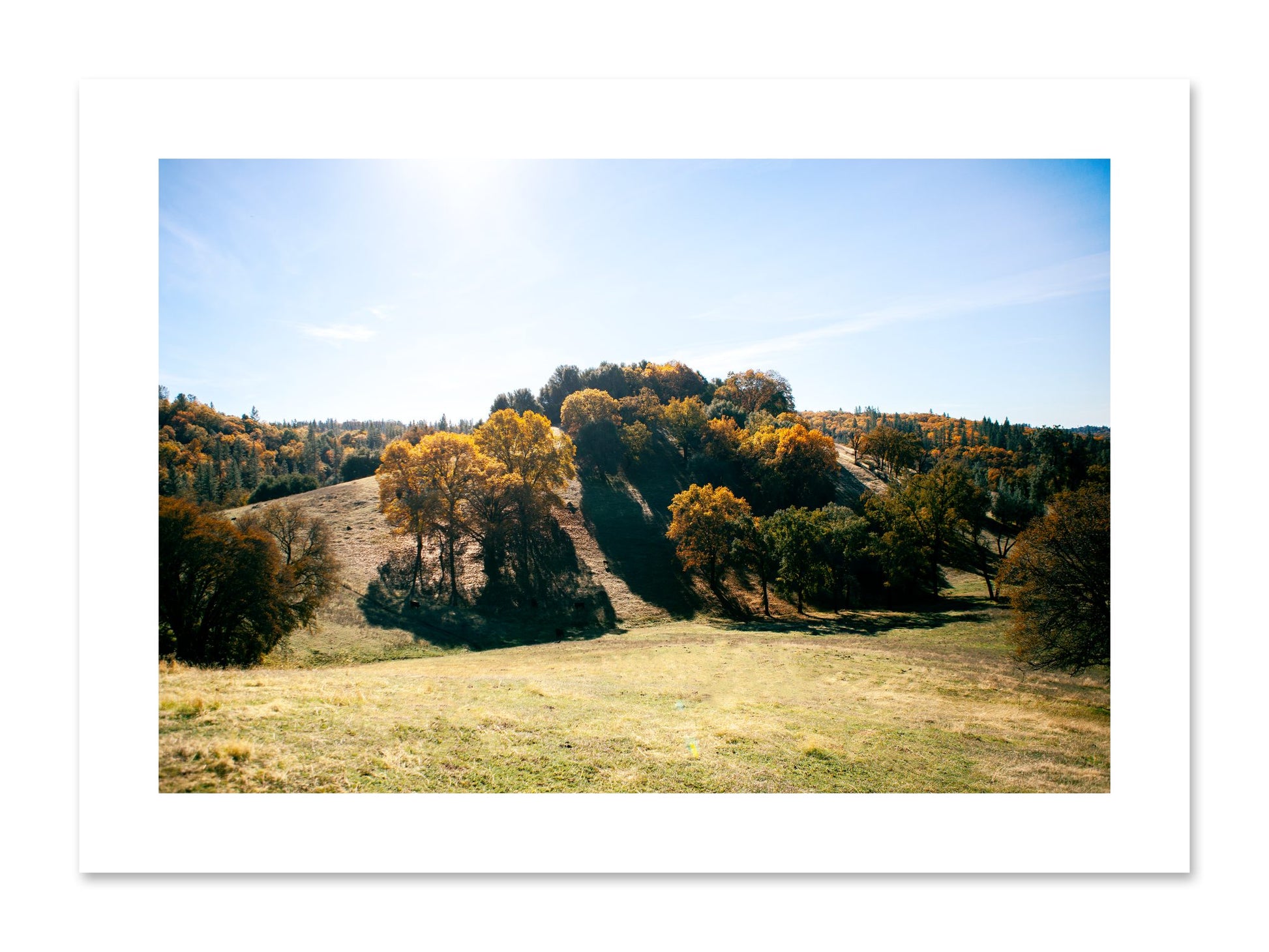 Fine art print of Where IGrew Up by Dylan Ozanich, unframed