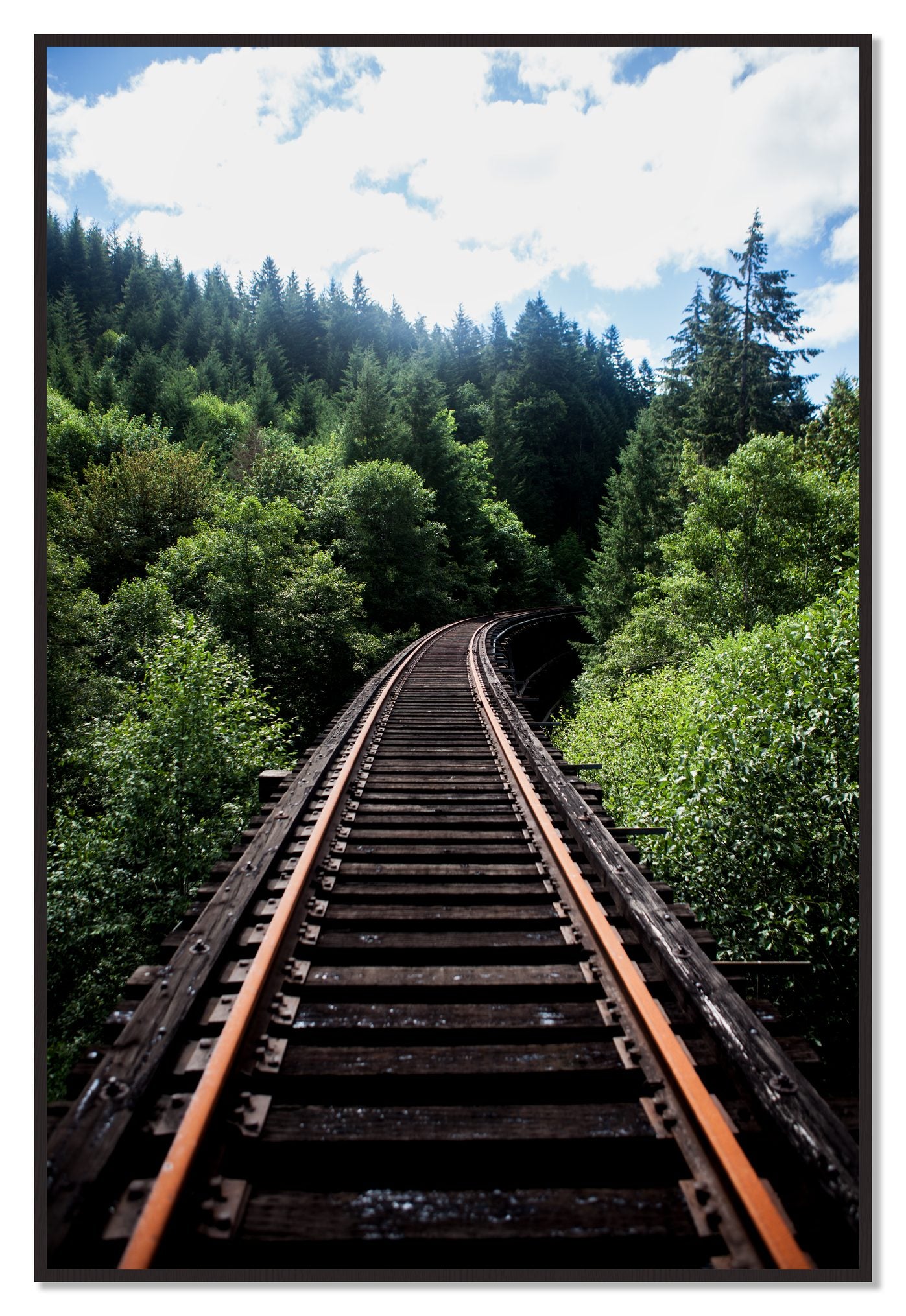 Wood Bridge by Dylan Ozanich, 48×72 Full Bleed Print in a Black Walnut frame