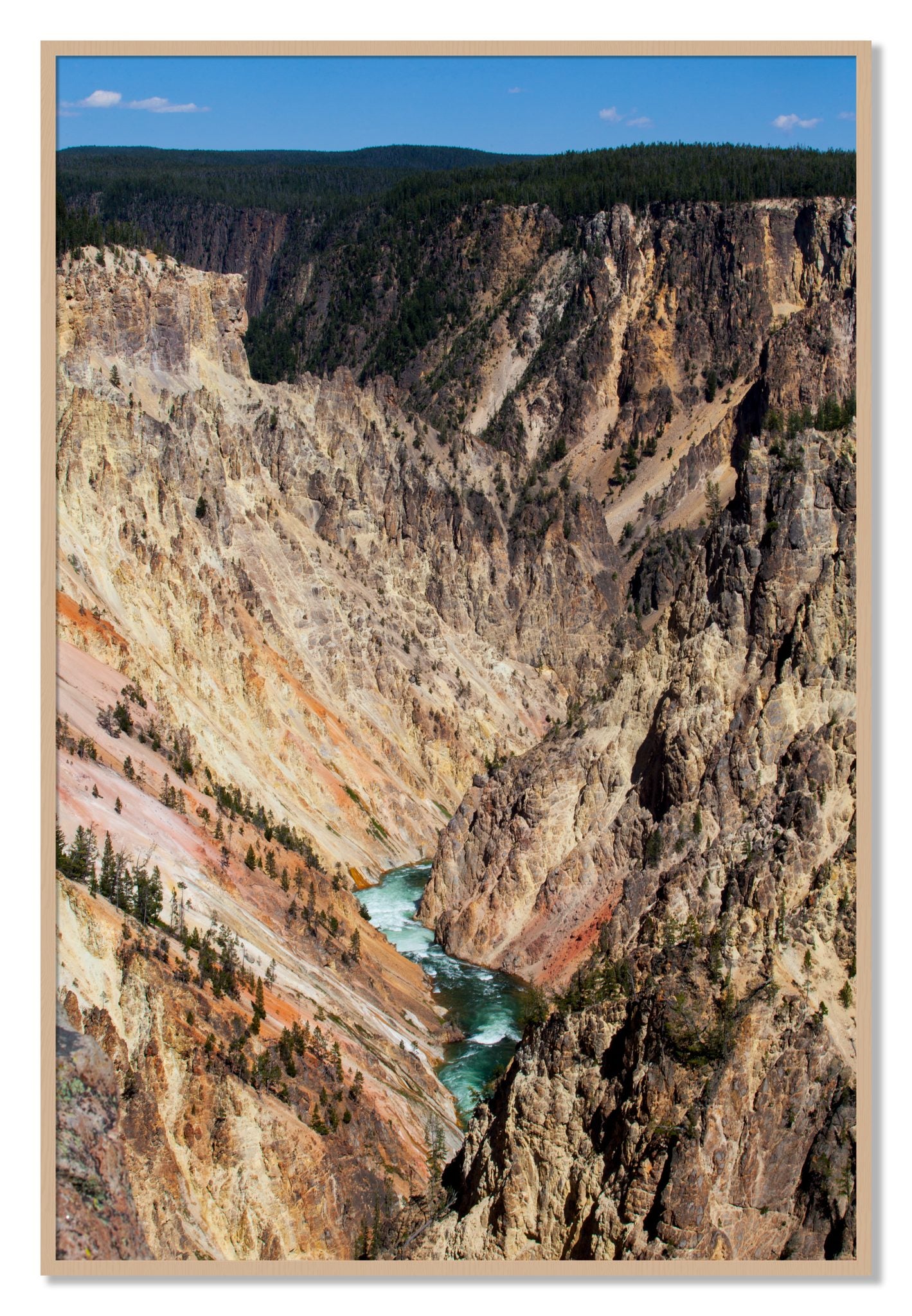 Yellowstone Canyon by Dylan Ozanich, 40×60 Full Bleed Print in an Oak frame