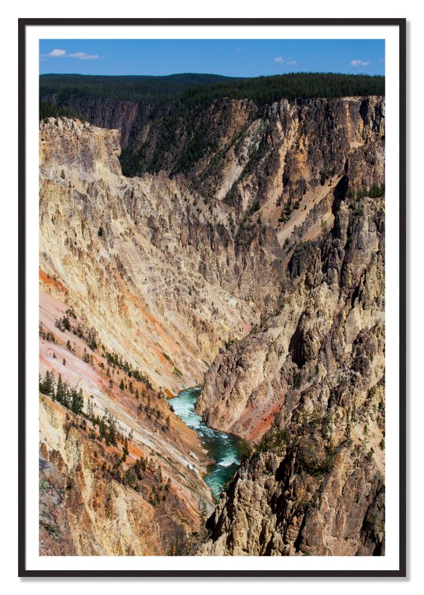 Yellowstone Canyon by Dylan Ozanich, 48×72 print with a White Border in a Black Walnut frame